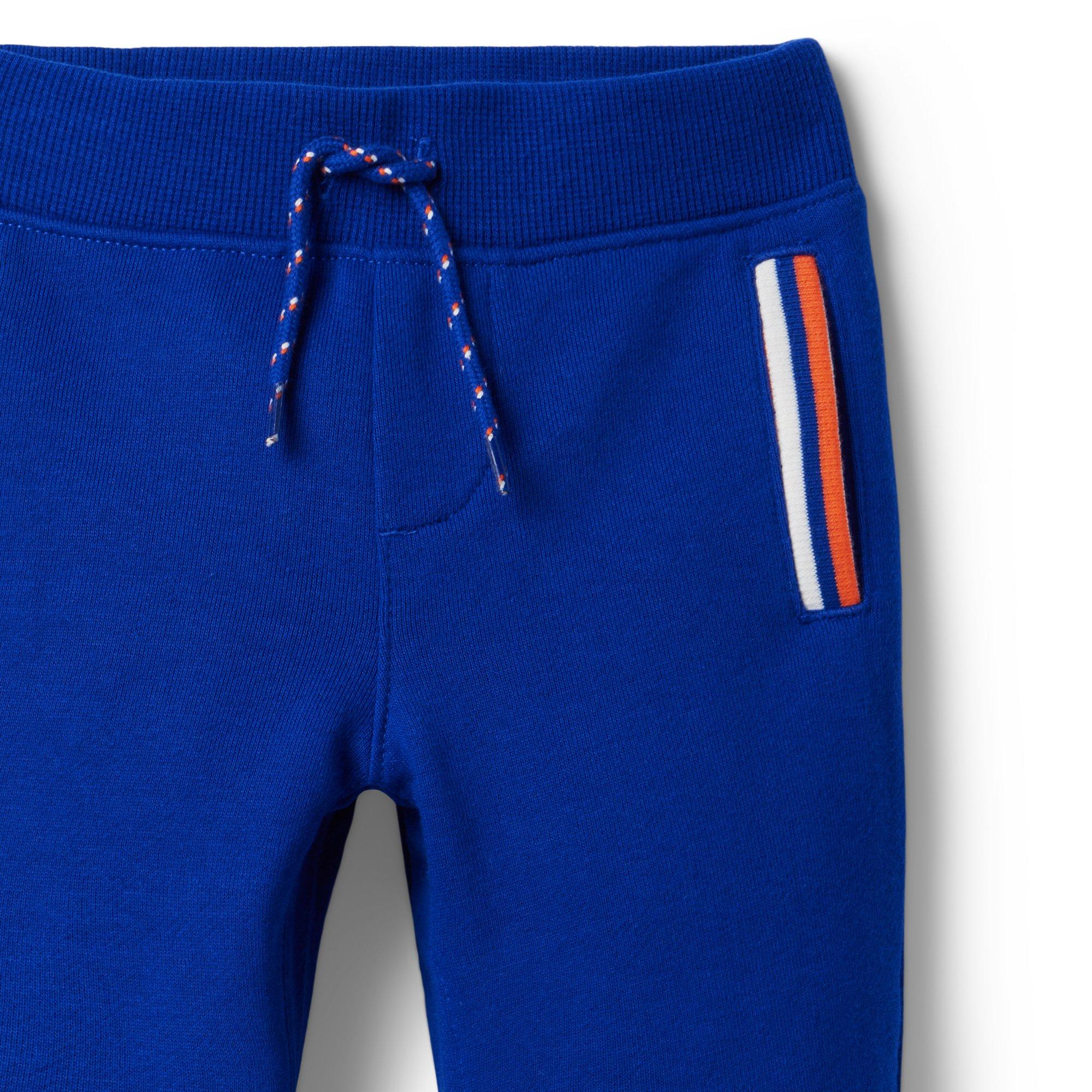 Stripe Pocket French Terry Jogger image number 2