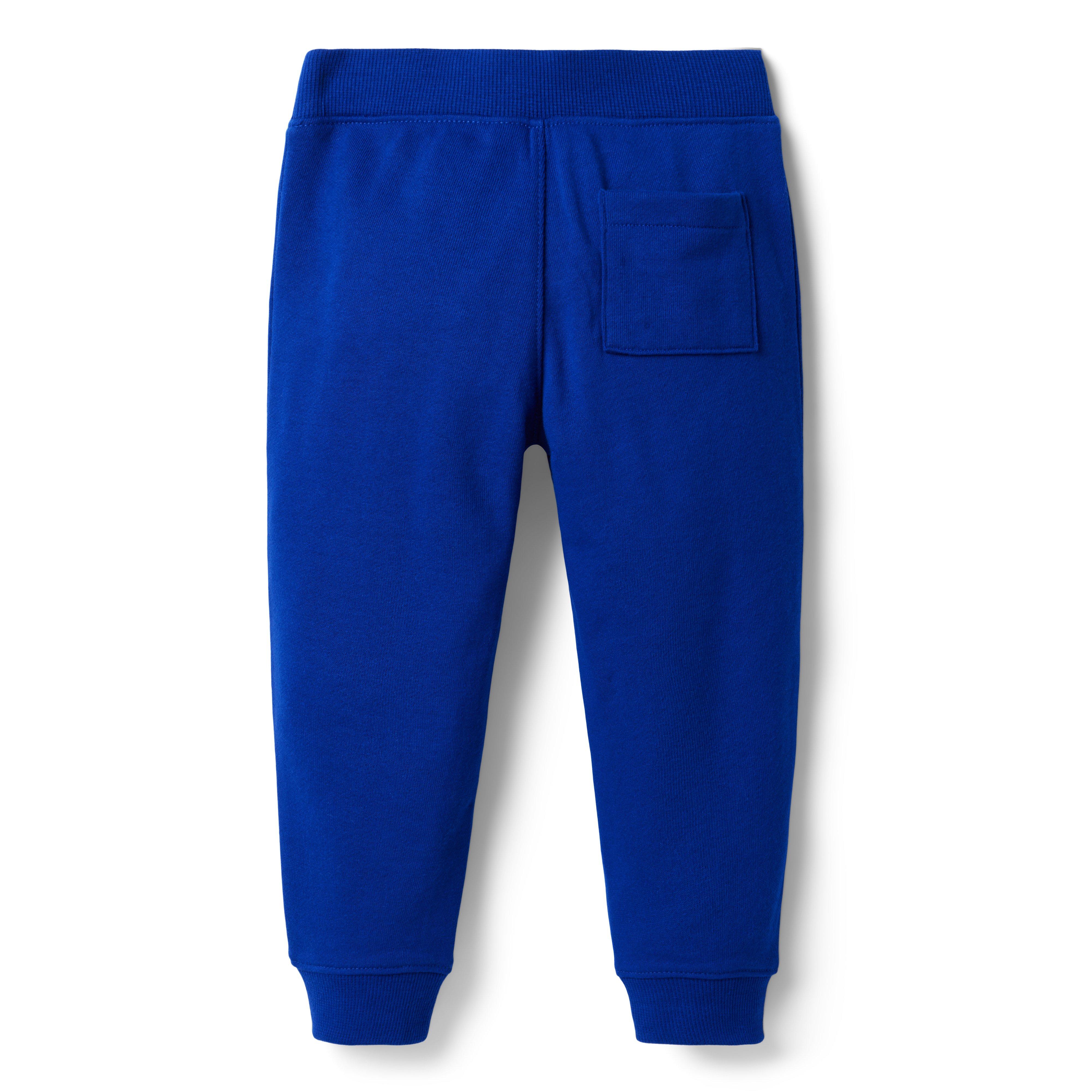 Stripe Pocket French Terry Jogger image number 1