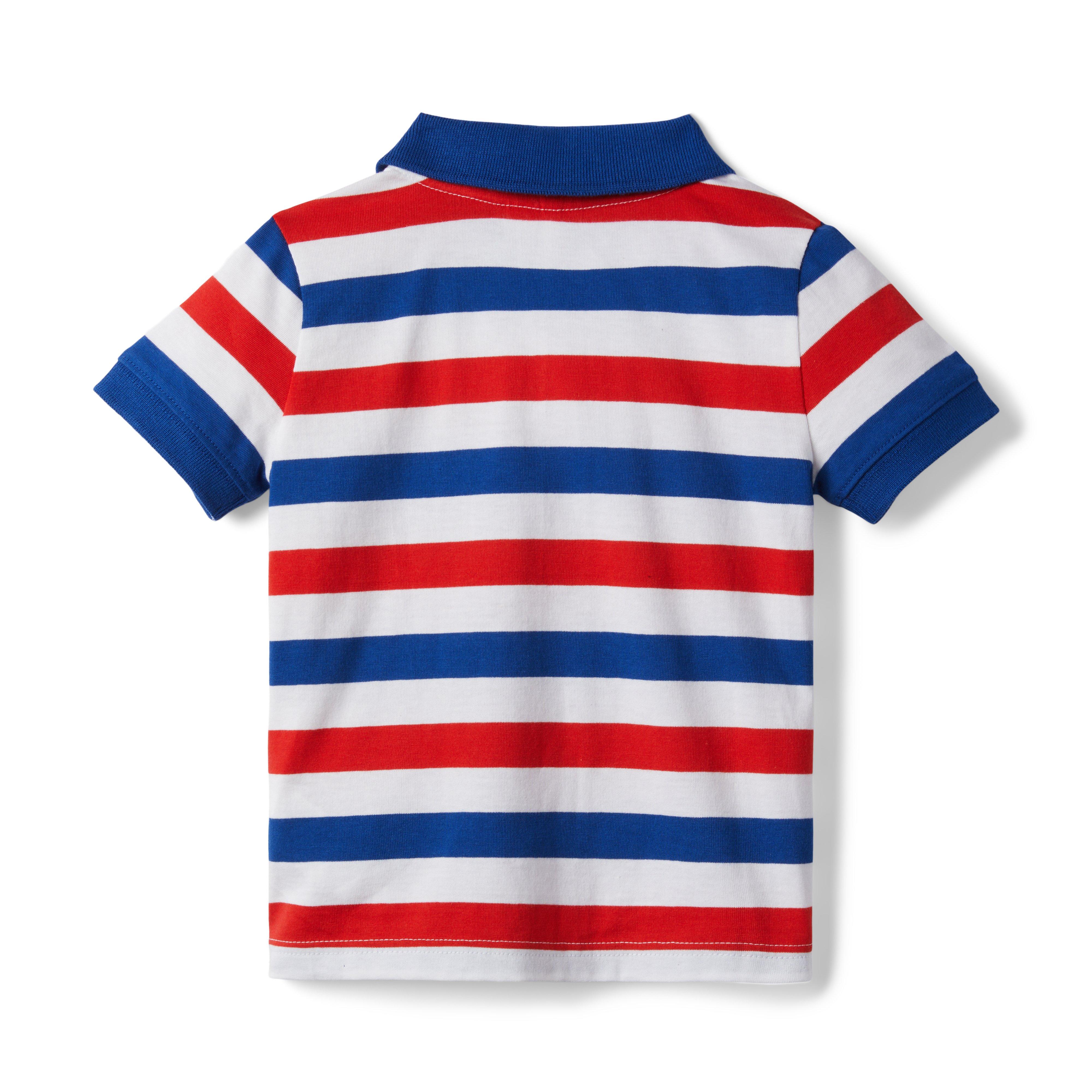 Striped Jersey Polo image number 1