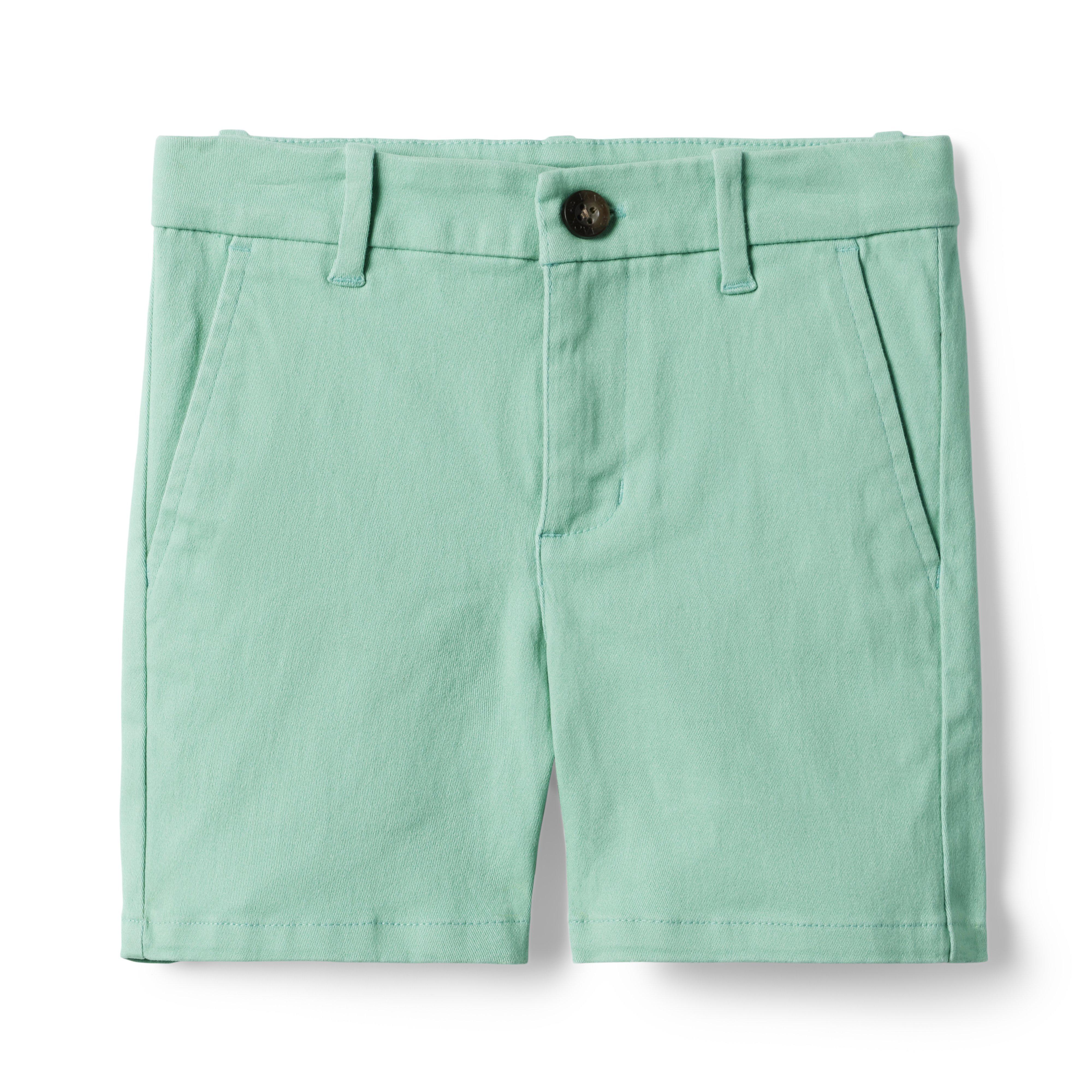 The Twill Short image number 0