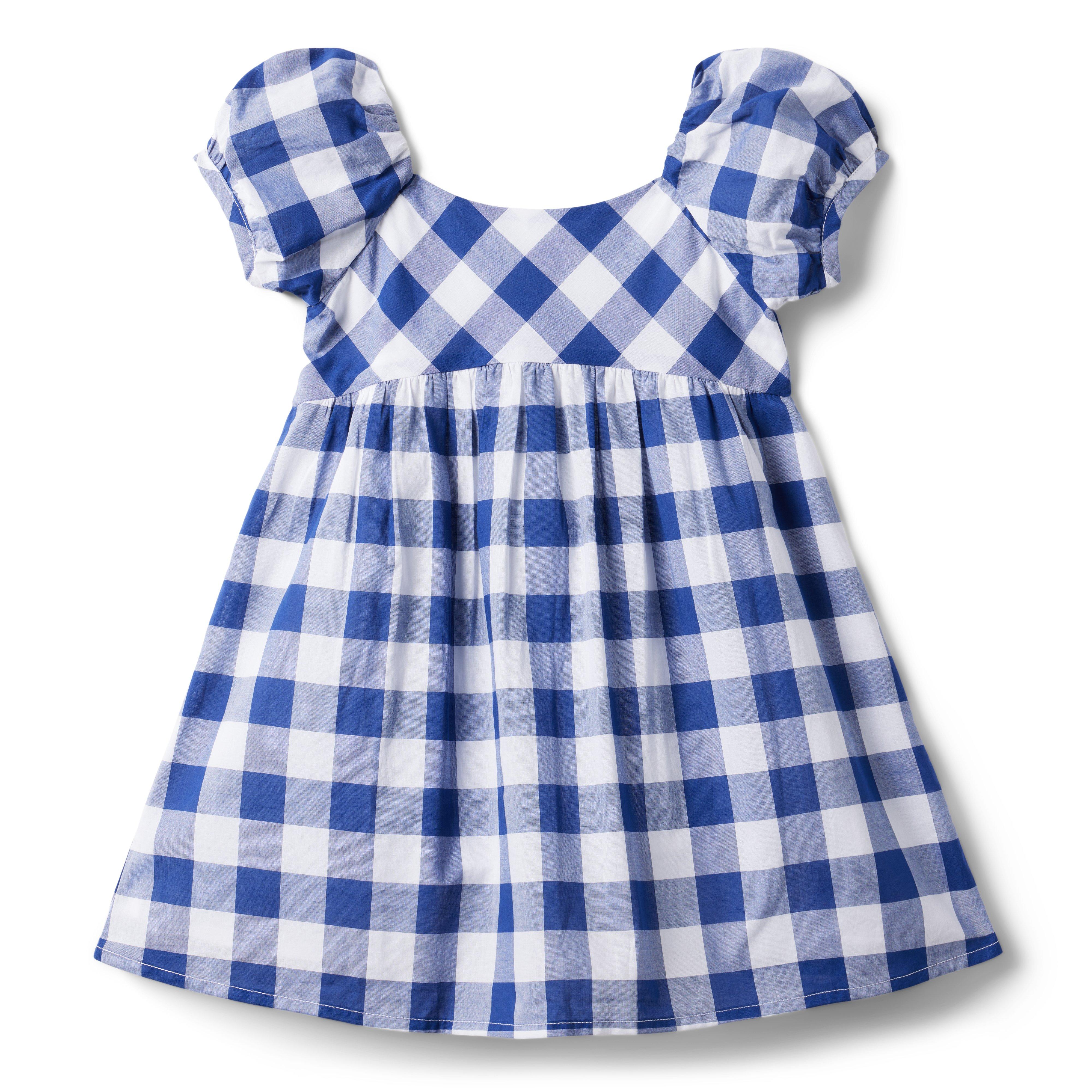 The Picnic Perfect Dress image number 0