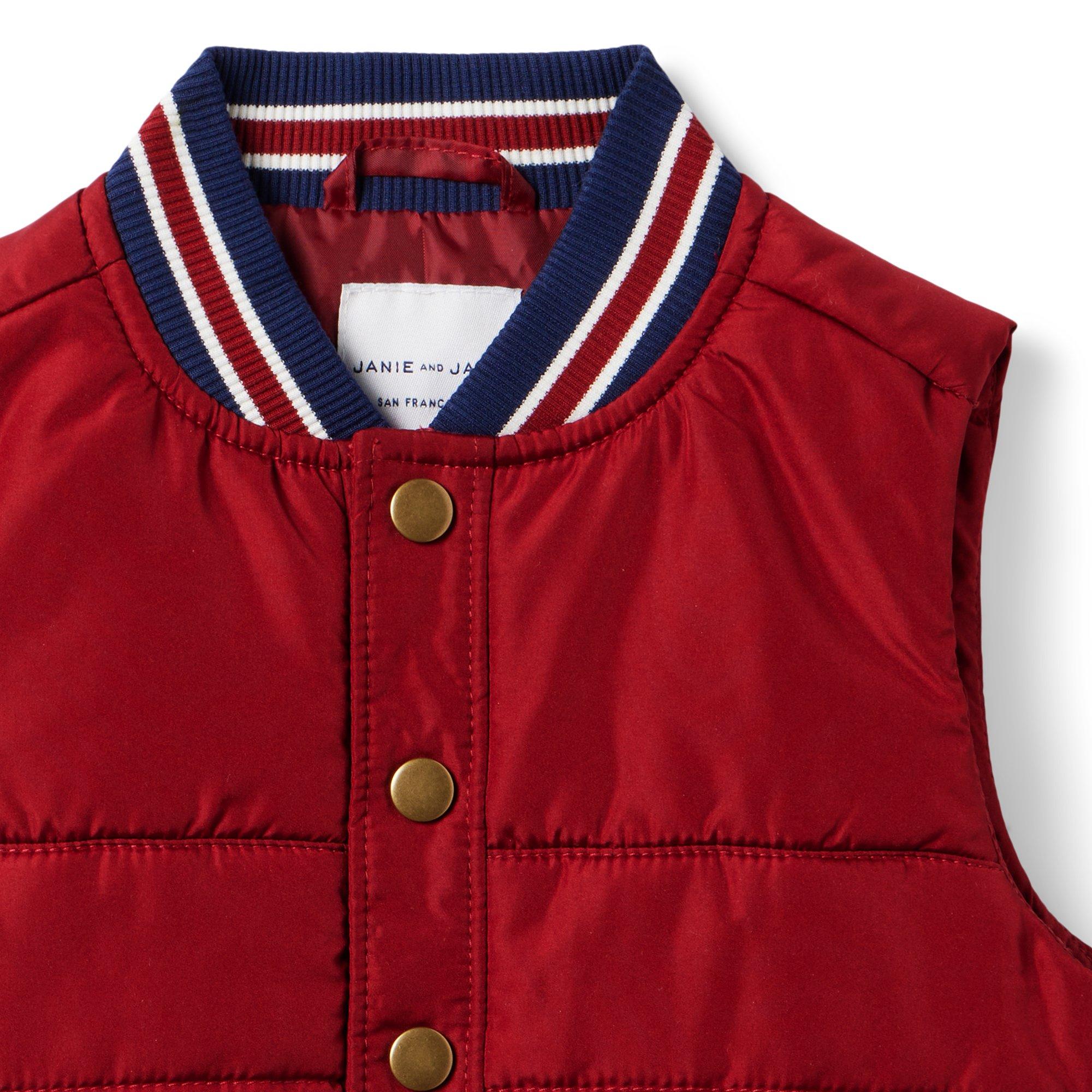 The Crosstown Puffer Vest image number 2