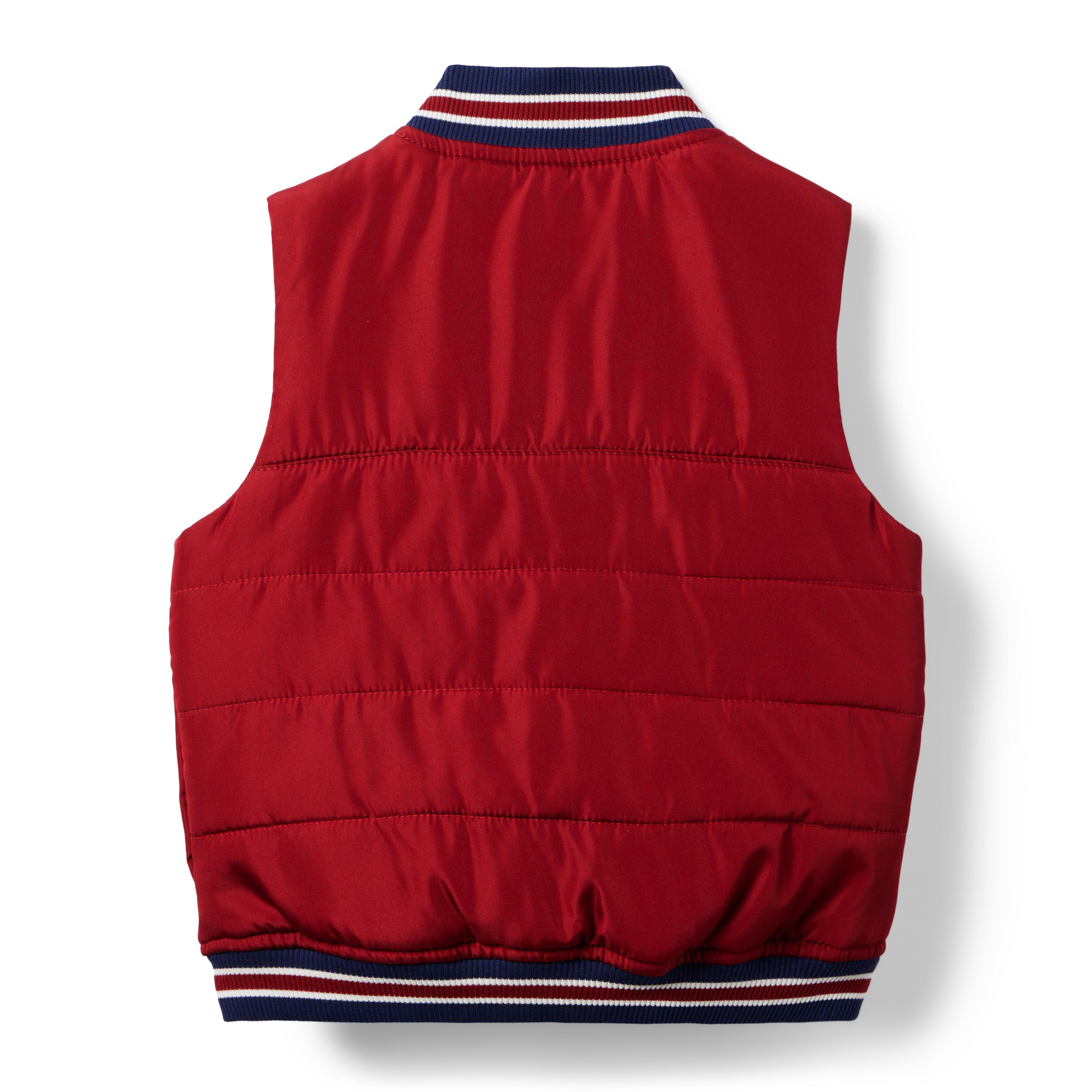 The Crosstown Puffer Vest image number 4