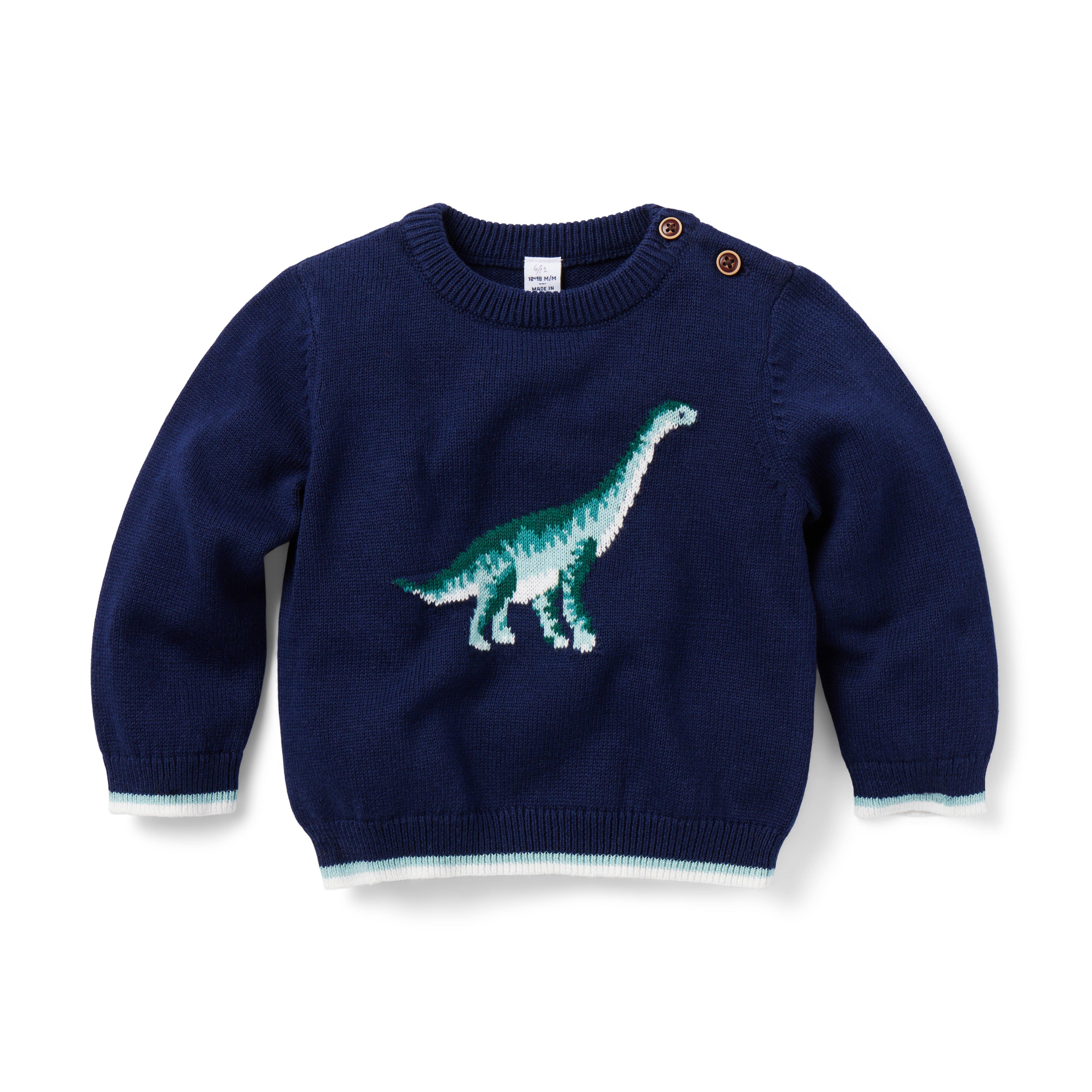 Sweater dinosaur hot sale