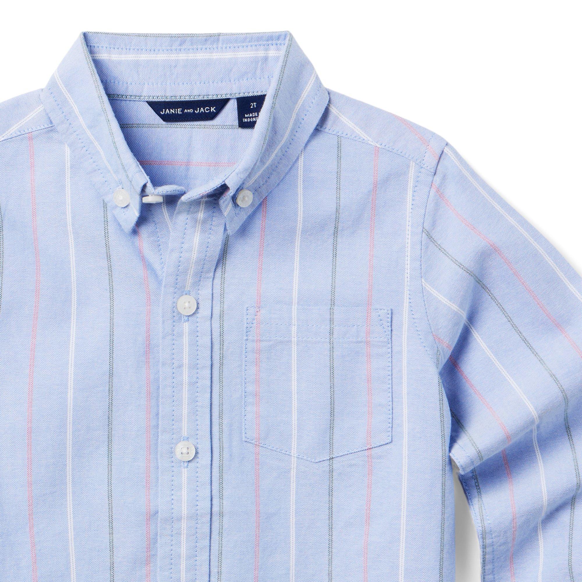 The Striped Oxford Shirt image number 1