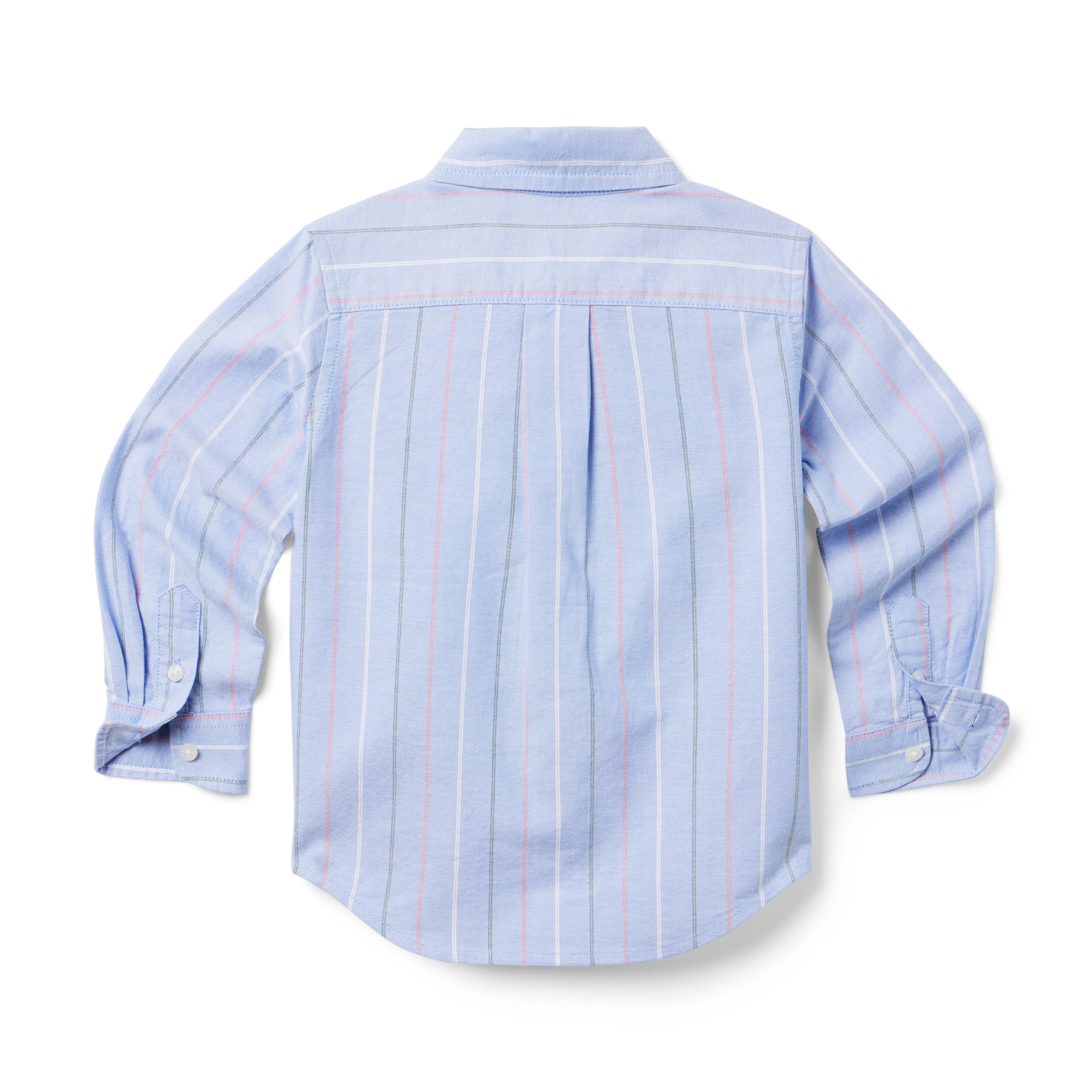 The Striped Oxford Shirt image number 2