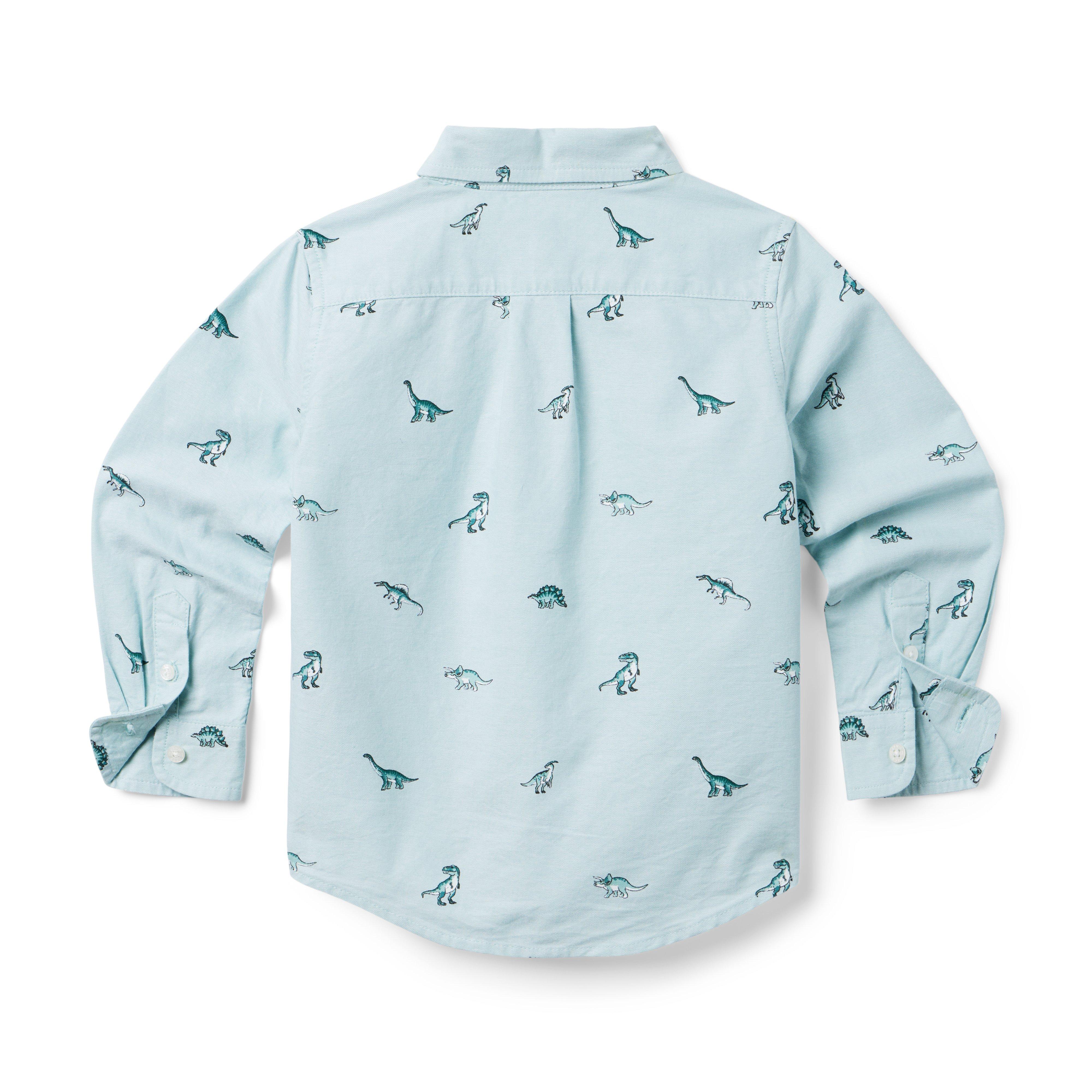The Dinosaur Oxford Shirt image number 3