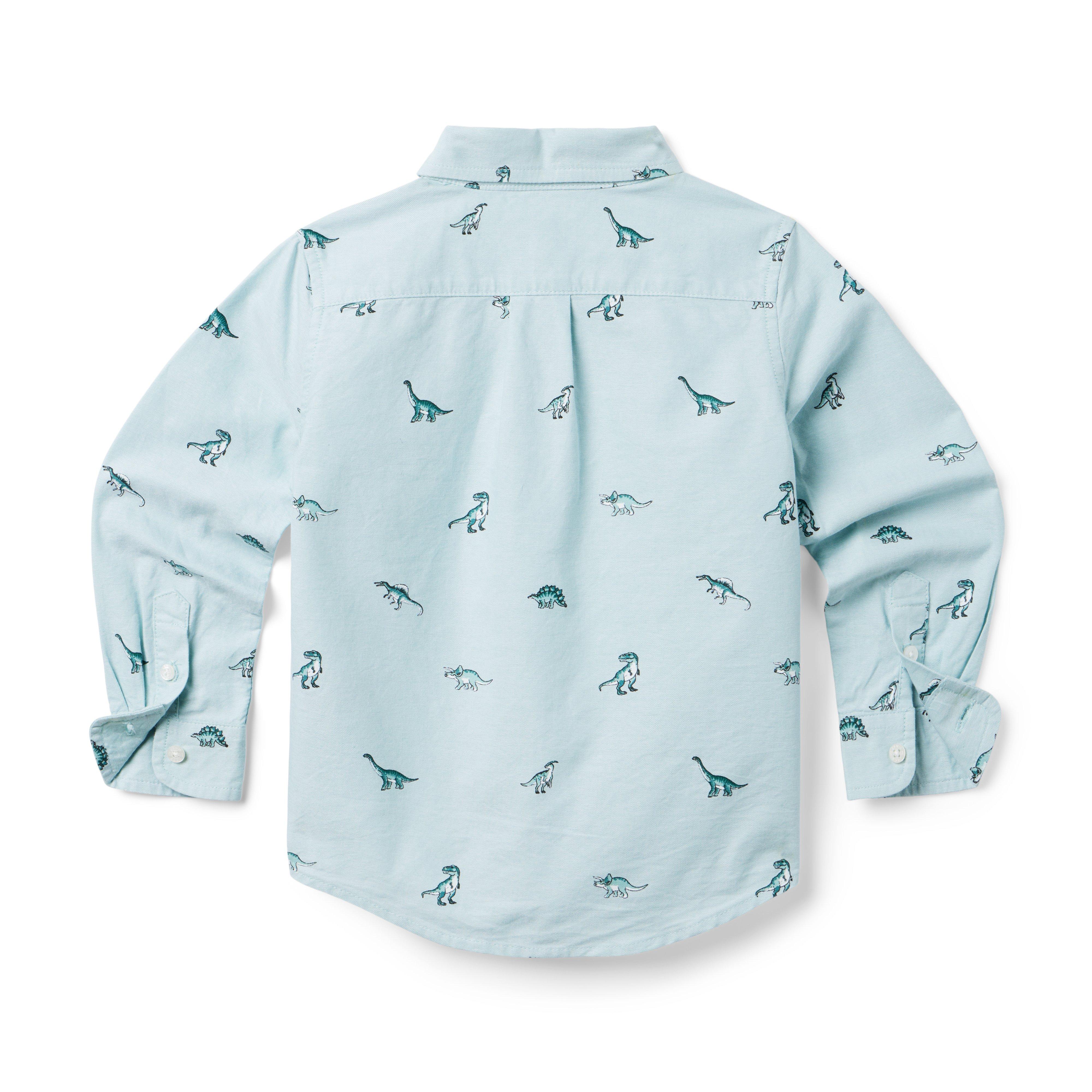 The Dinosaur Oxford Shirt image number 3