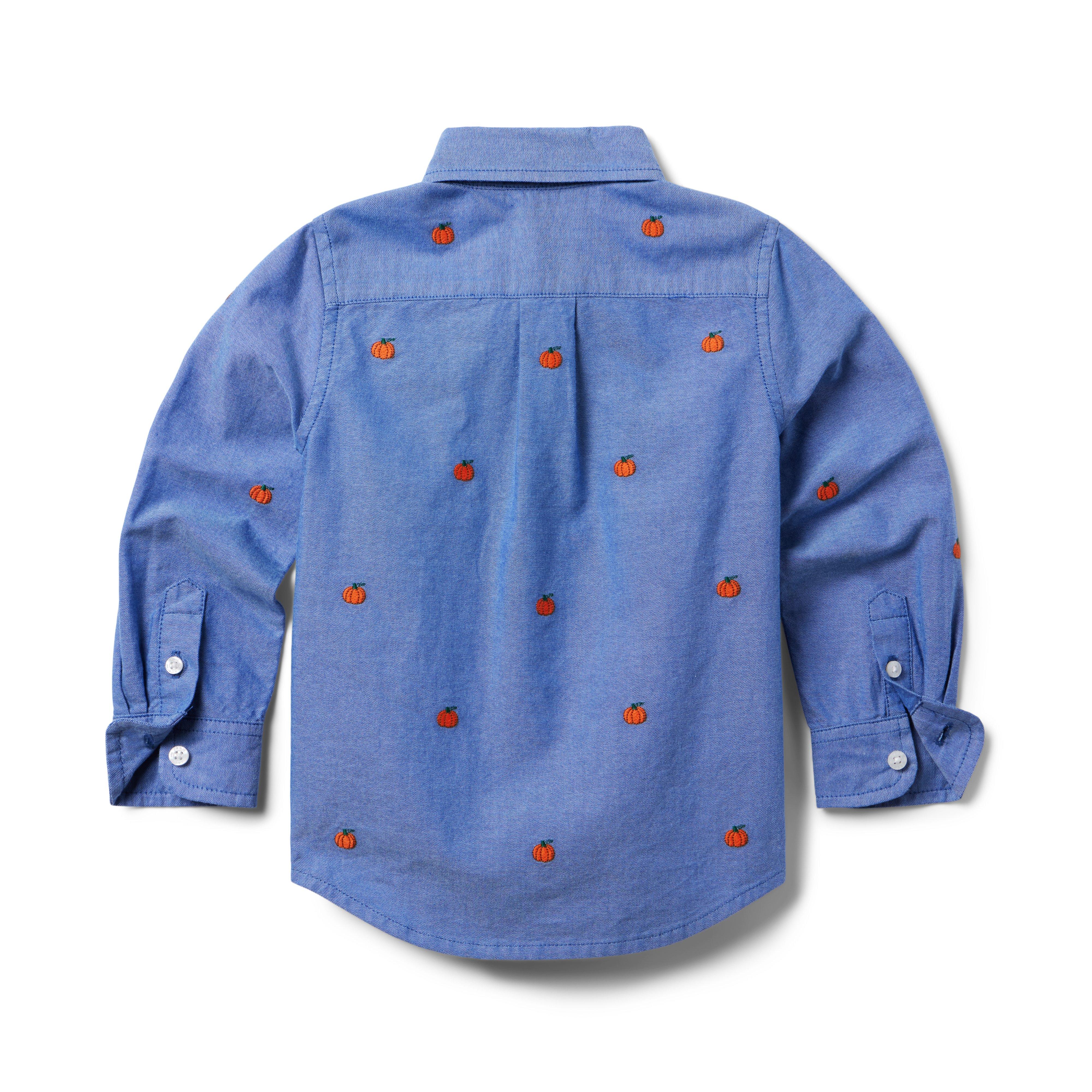 The Embroidered Oxford Shirt image number 1