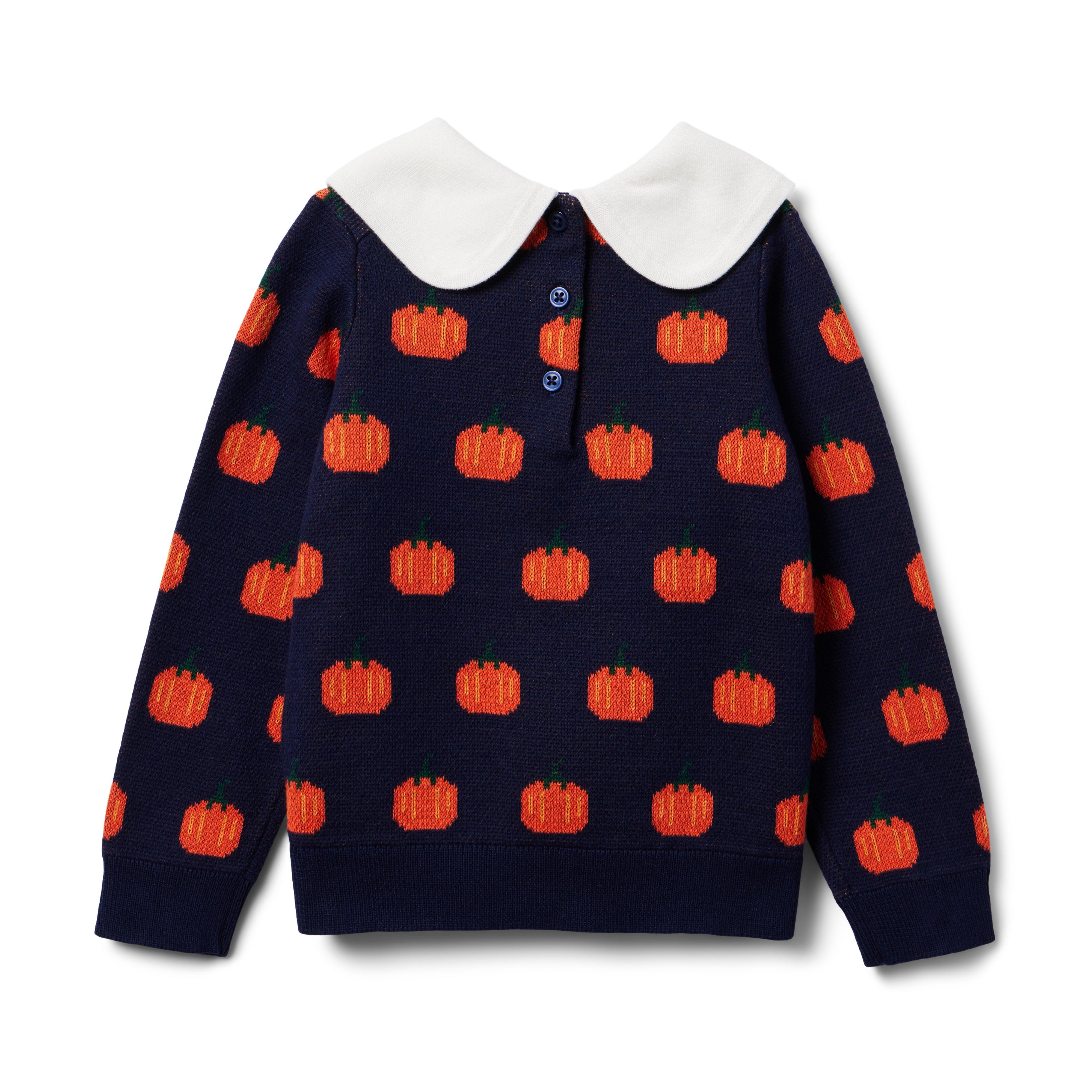 The Pumpkin Sweater  image number 1