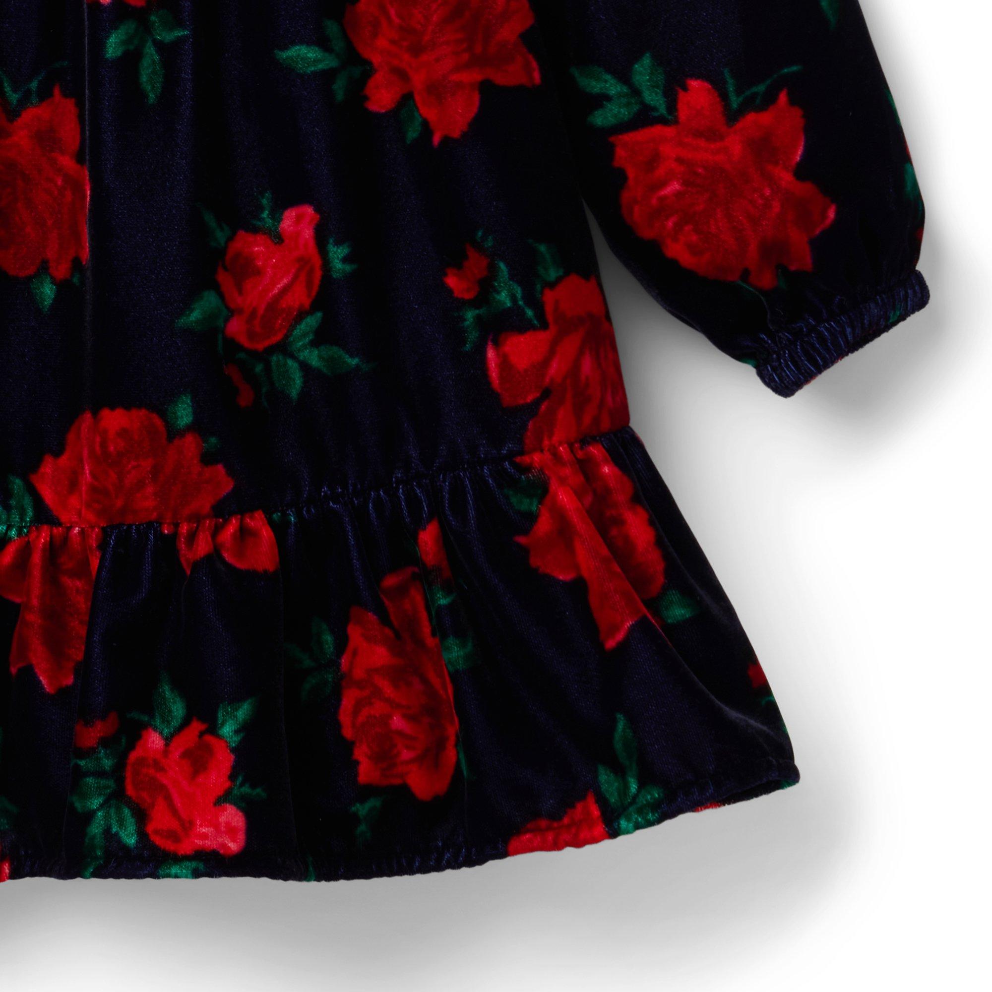 The Velvet Rose Dress  image number 7