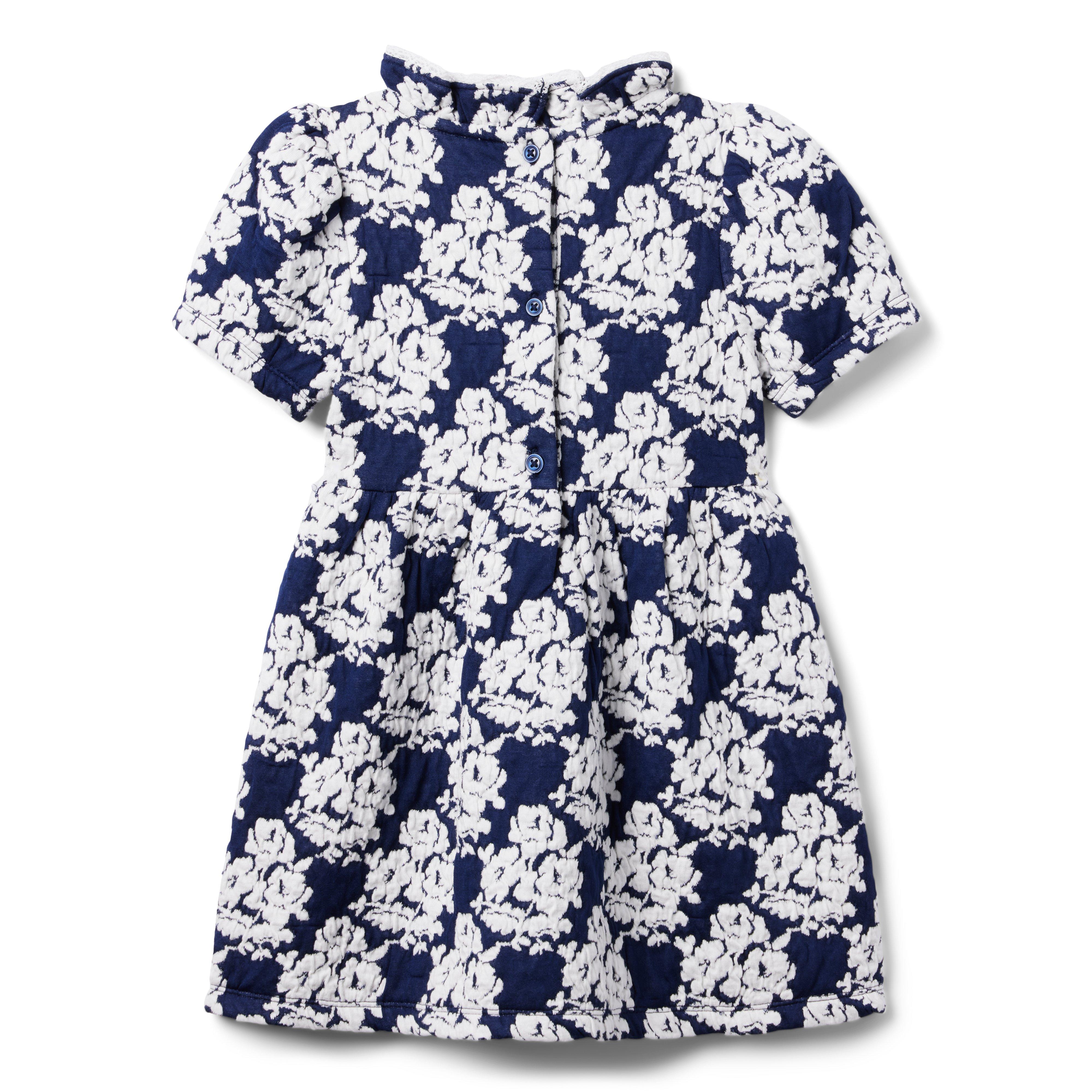 Girl Merchant Marine Floral Floral Jacquard Dress by Janie and Jack