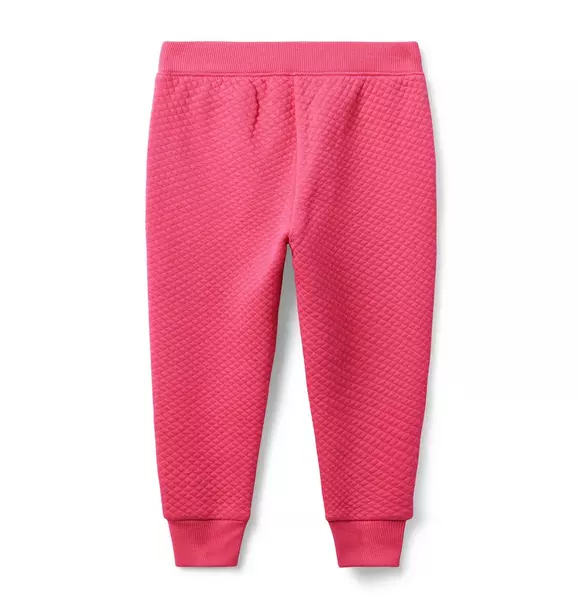 Quilted Jacquard Jogger image number 1
