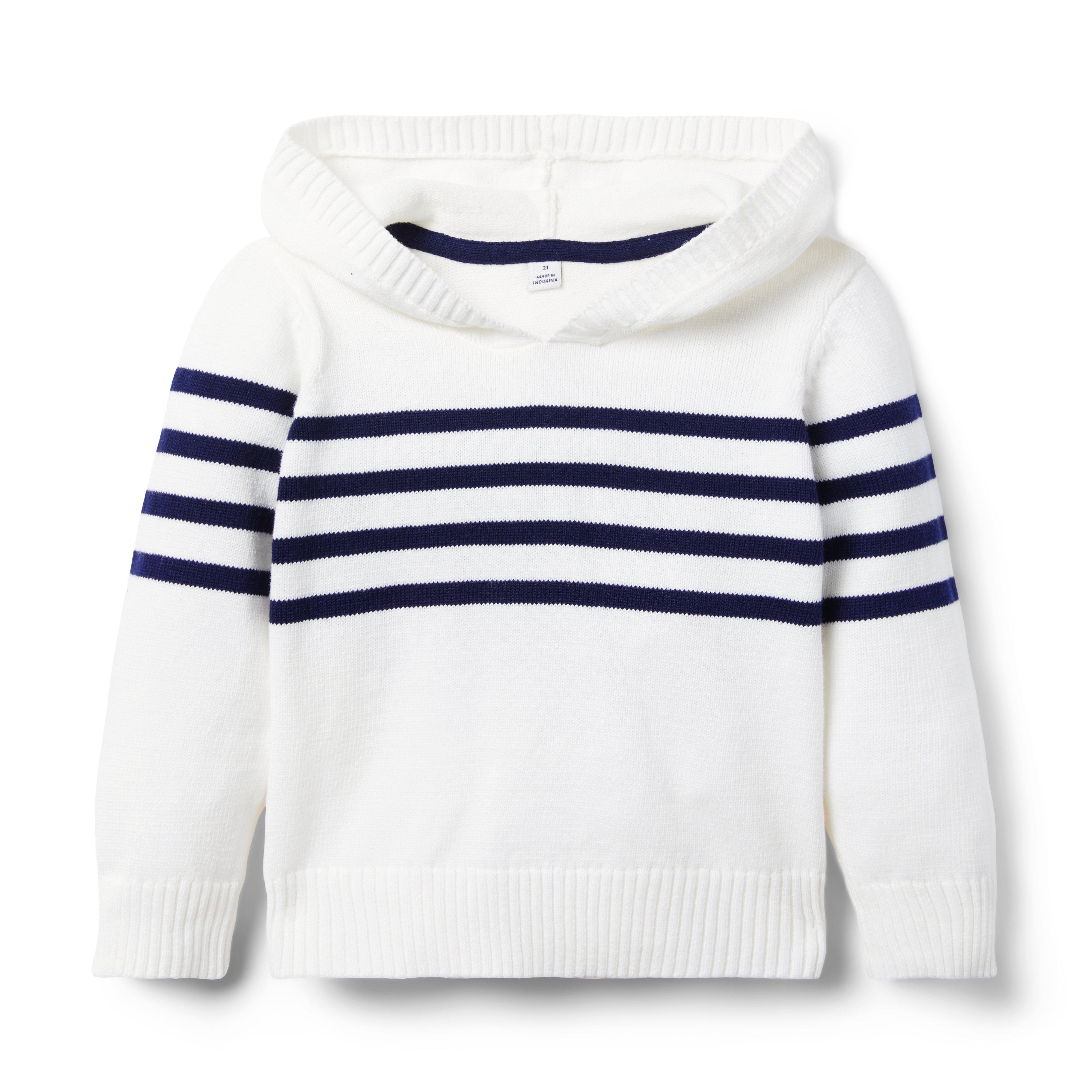 The Stripe Hooded Sweater image number 0
