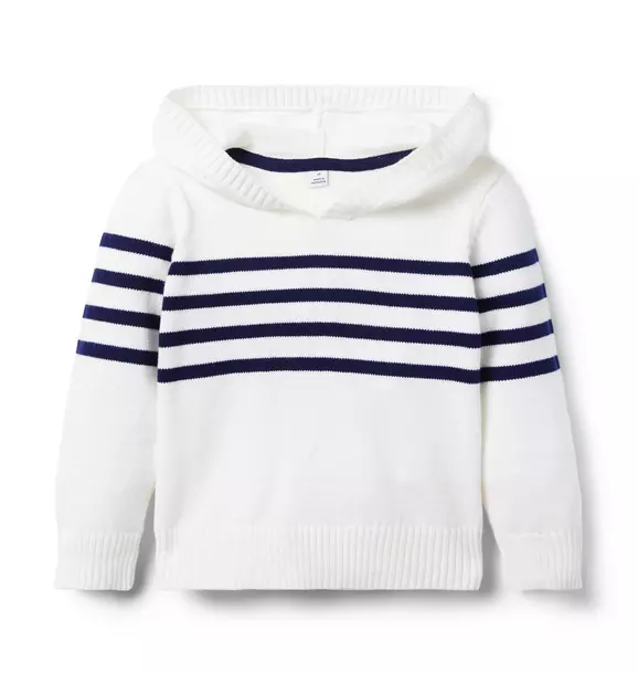 The Stripe Hooded Sweater image number 0
