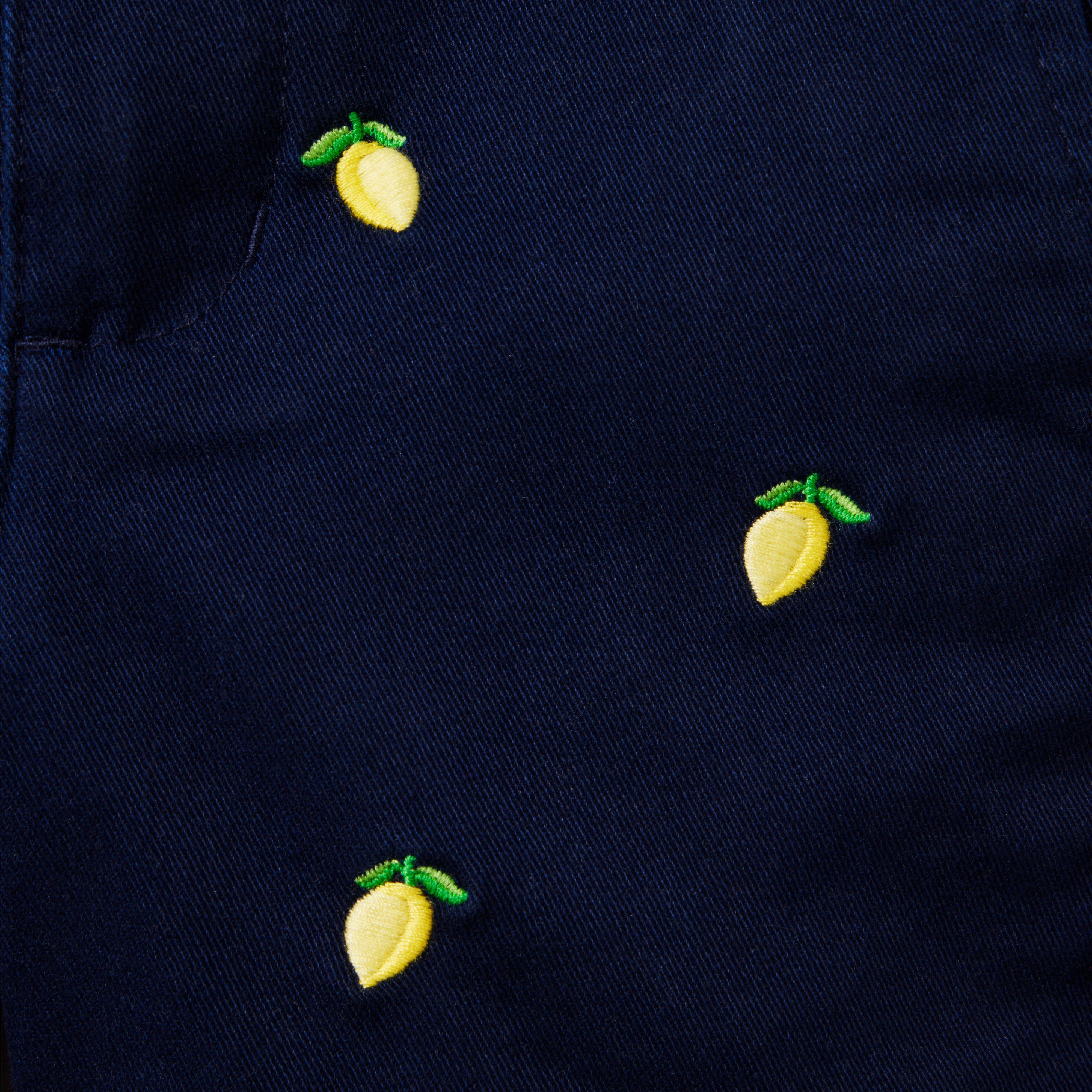 The Embroidered Twill Short