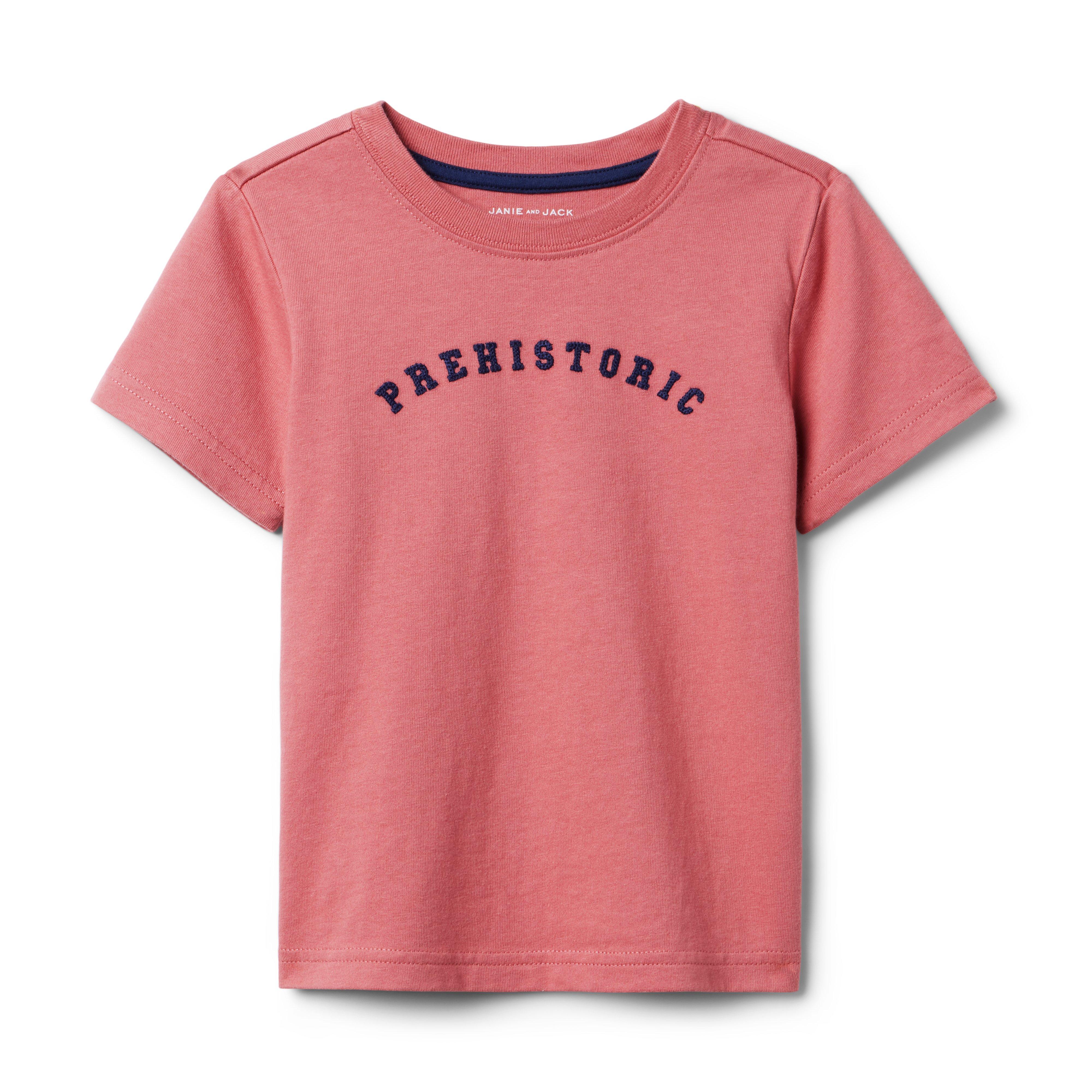 Boy Mauvewood Prehistoric Tee by Janie and Jack