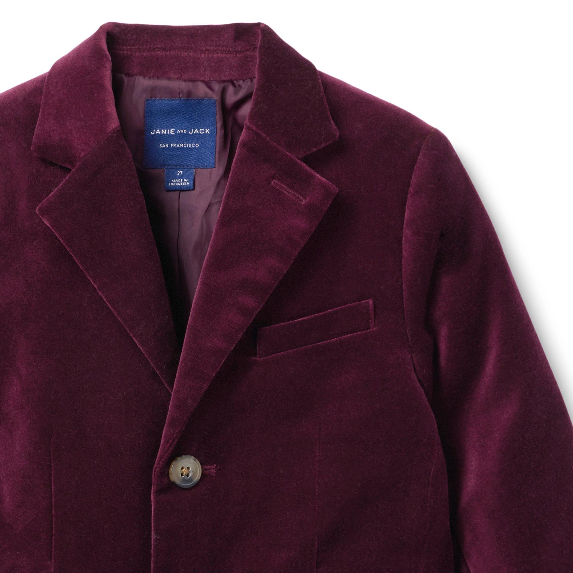 Embroidered Velvet Blazer in Wine : MUY1214