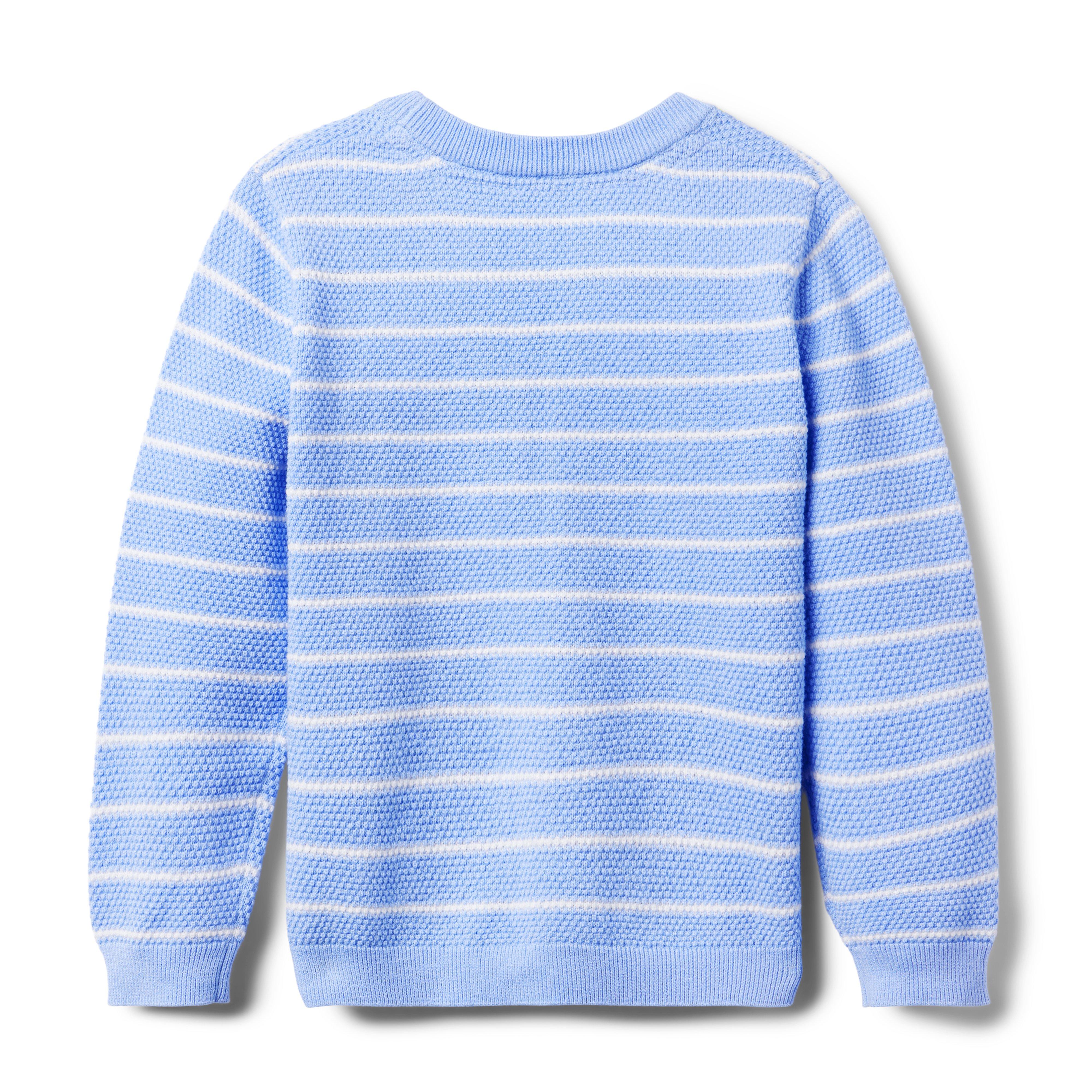 Striped Textured Sweater image number 1