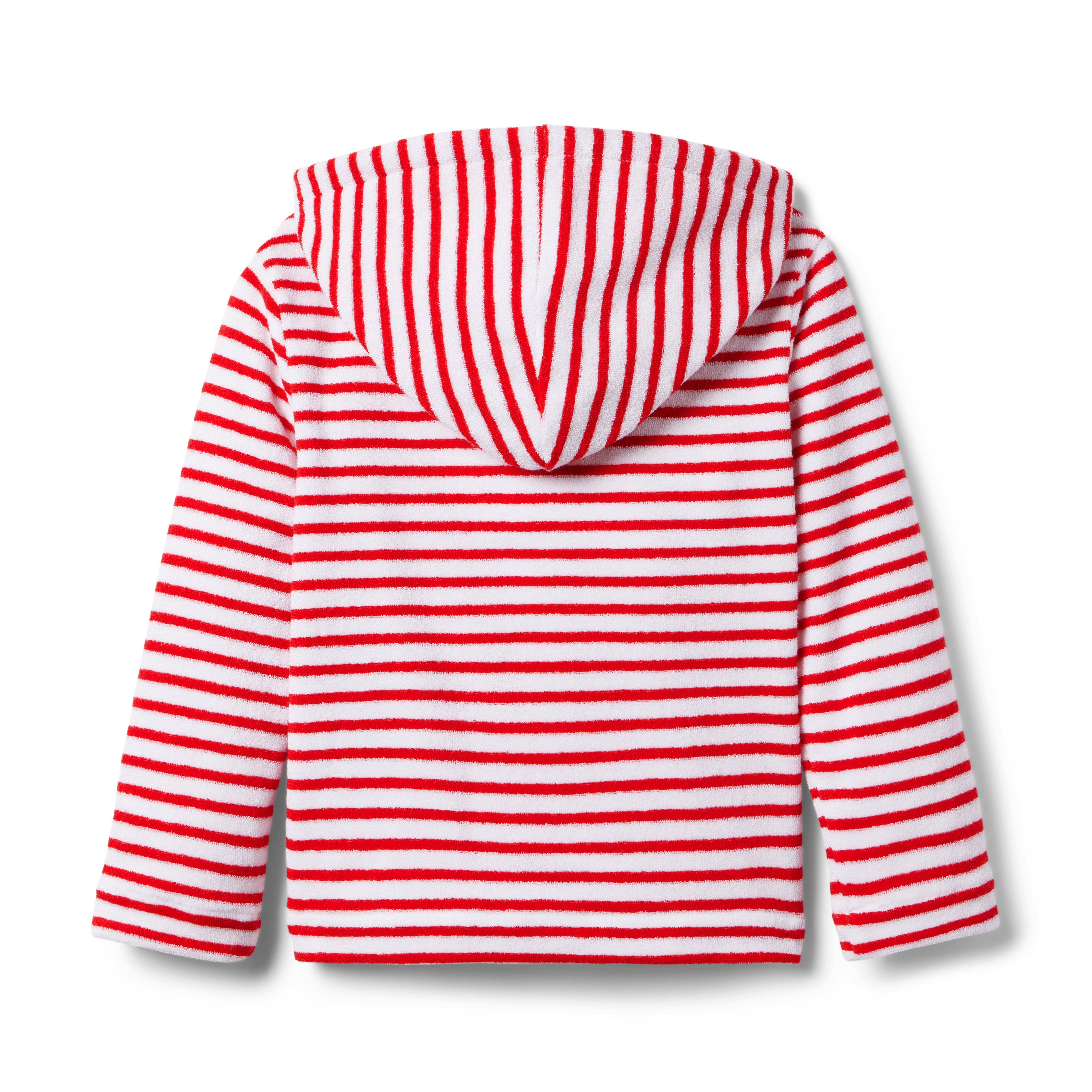 Striped Terry Hooded Sweatshirt image number 1