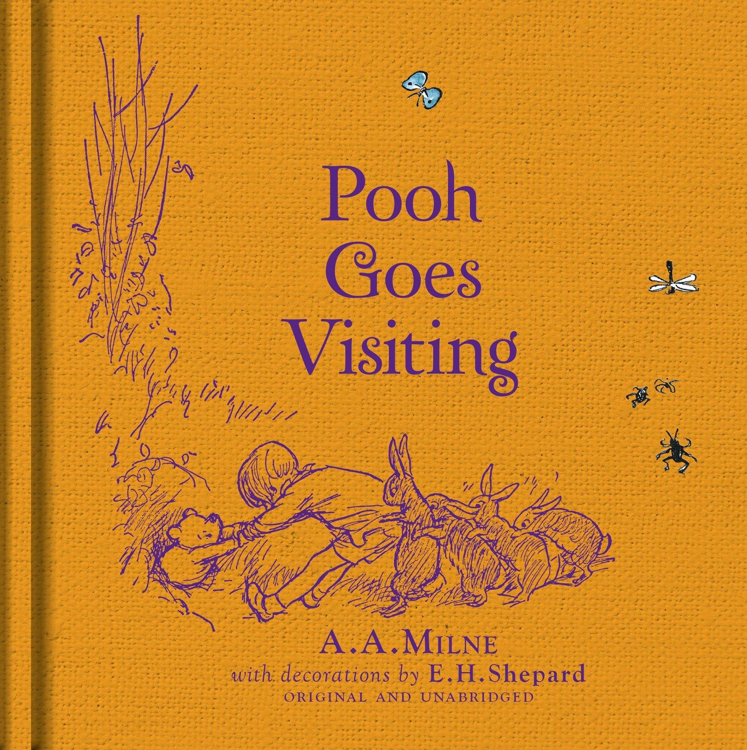 Pooh Goes Visiting Book image number 0