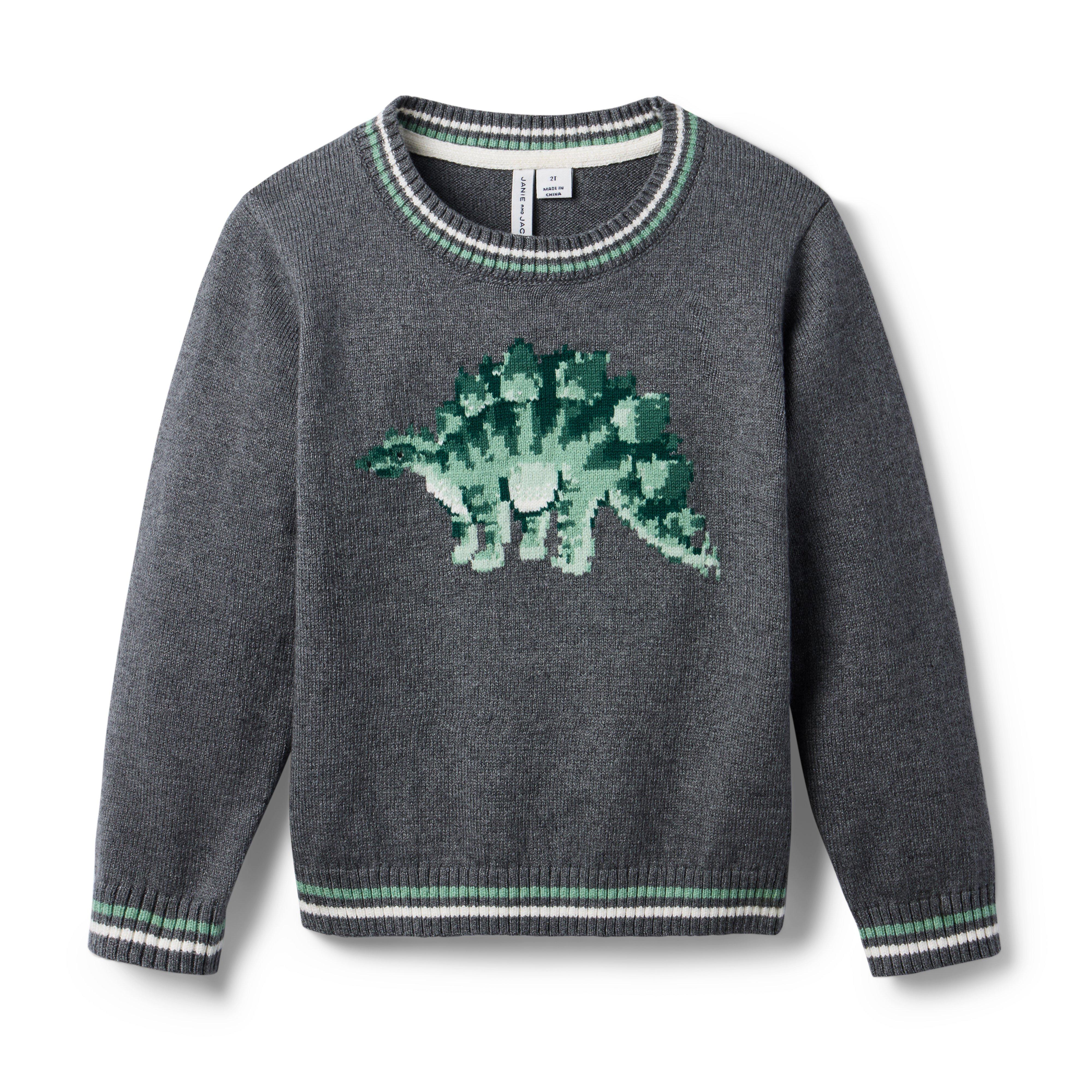 Boy Charcoal Heather Dinosaur Sweater by Janie and Jack