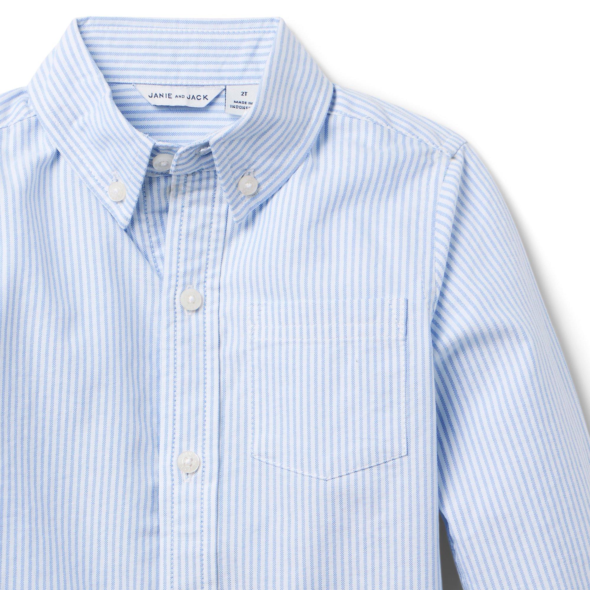 The Striped Oxford Shirt image number 1