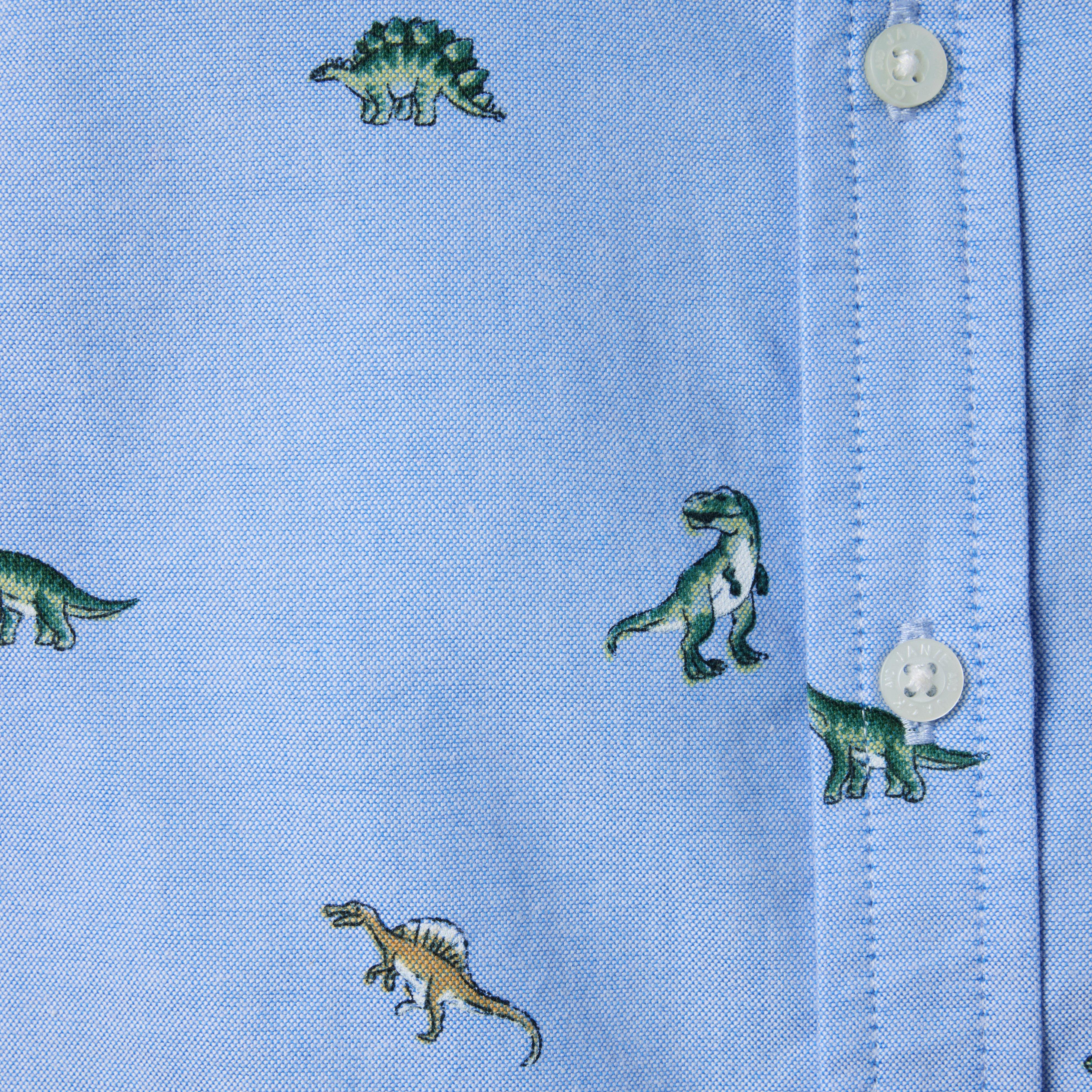 The Dinosaur Oxford Shirt image number 3