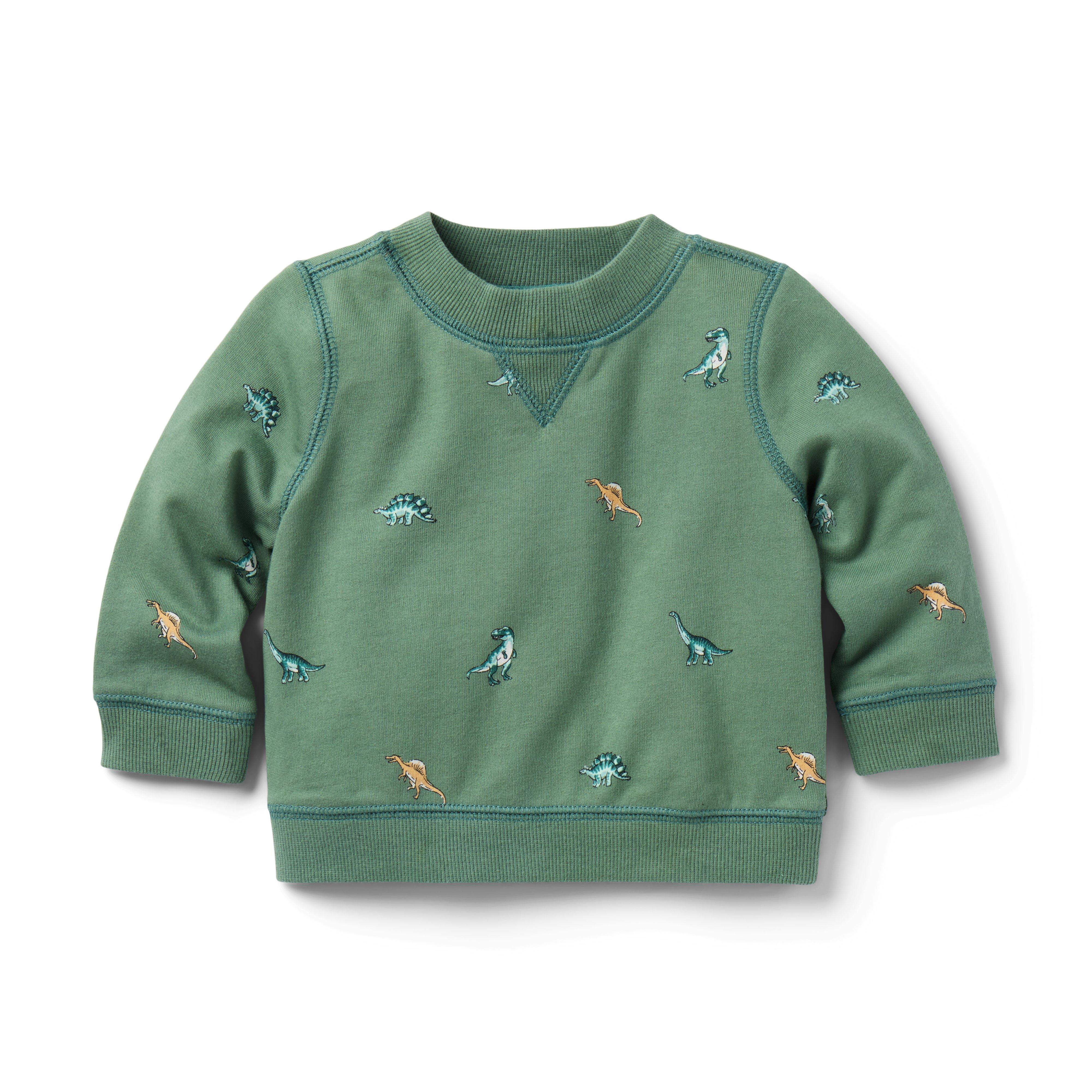 Baby Dinosaur French Terry Sweatshirt