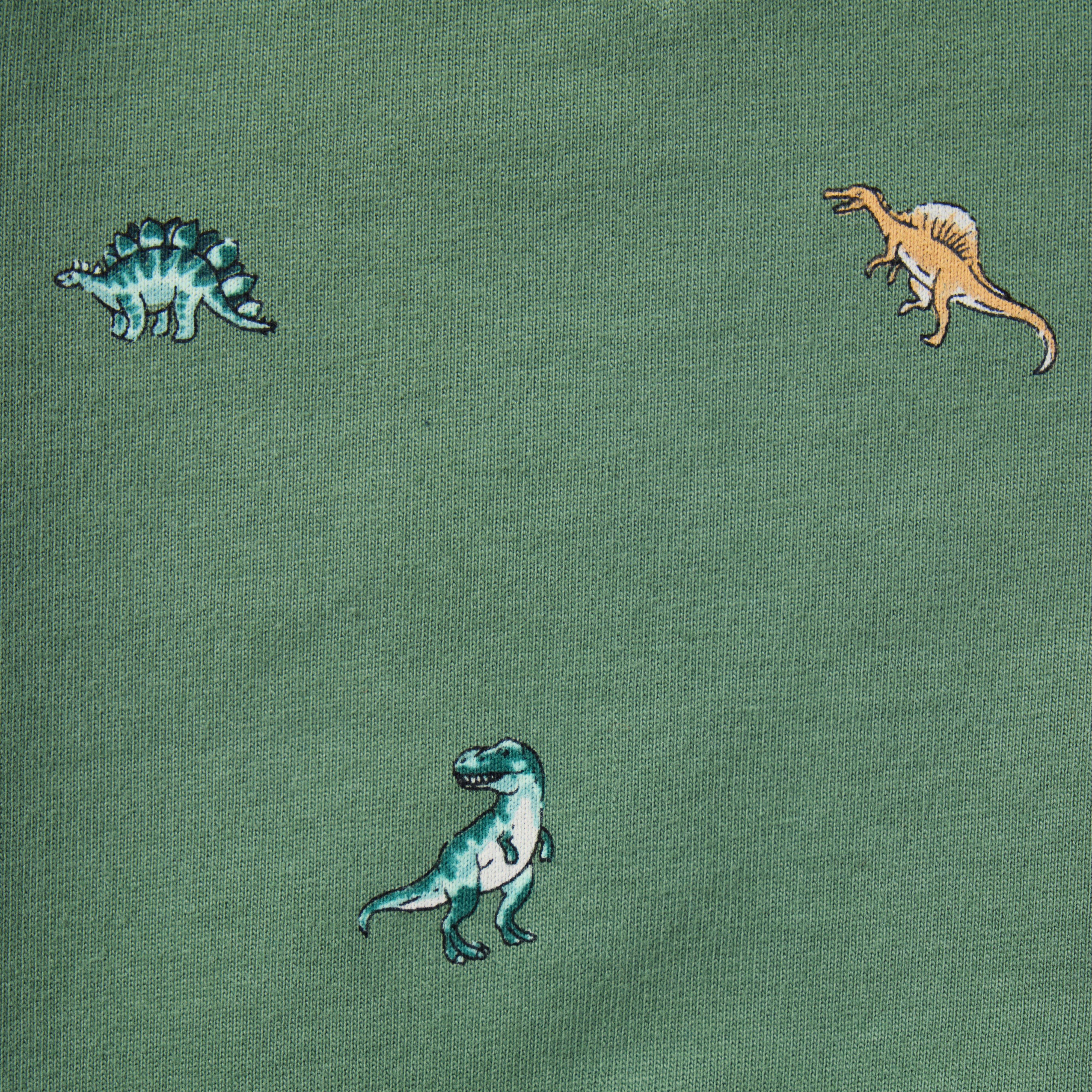 Baby Dinosaur French Terry Sweatshirt image number 1