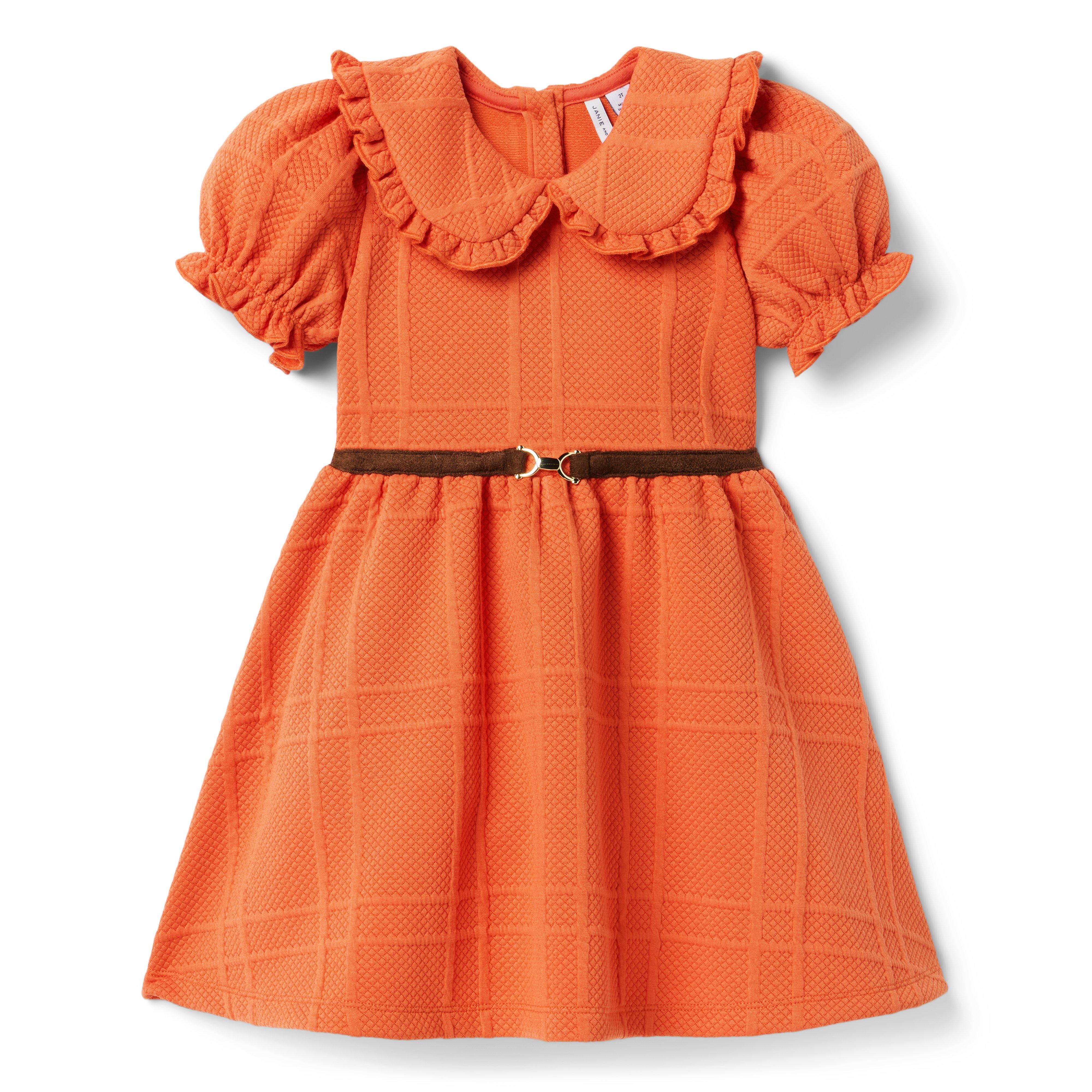 The Equestrian Collared Dress image number 0