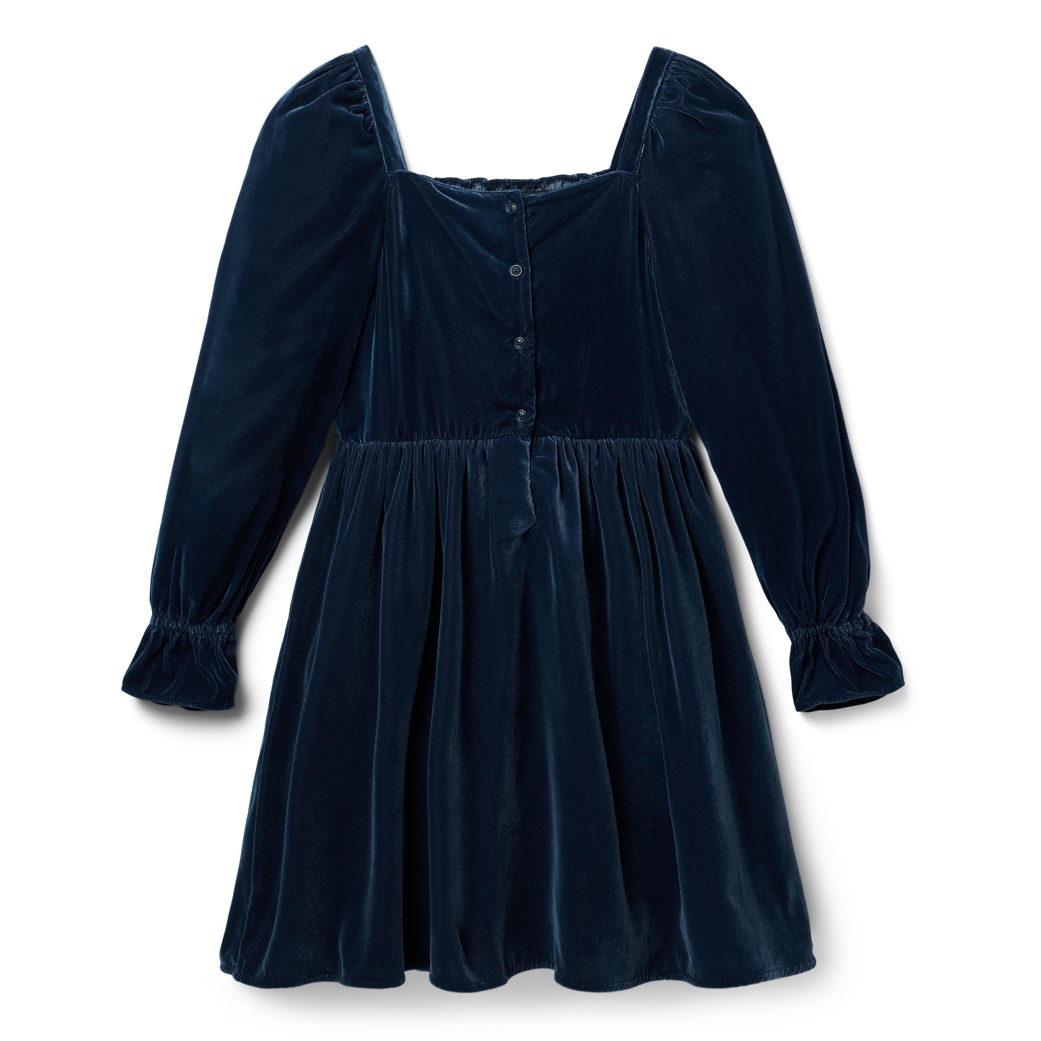 The Velvet Smocked Dress image number 1