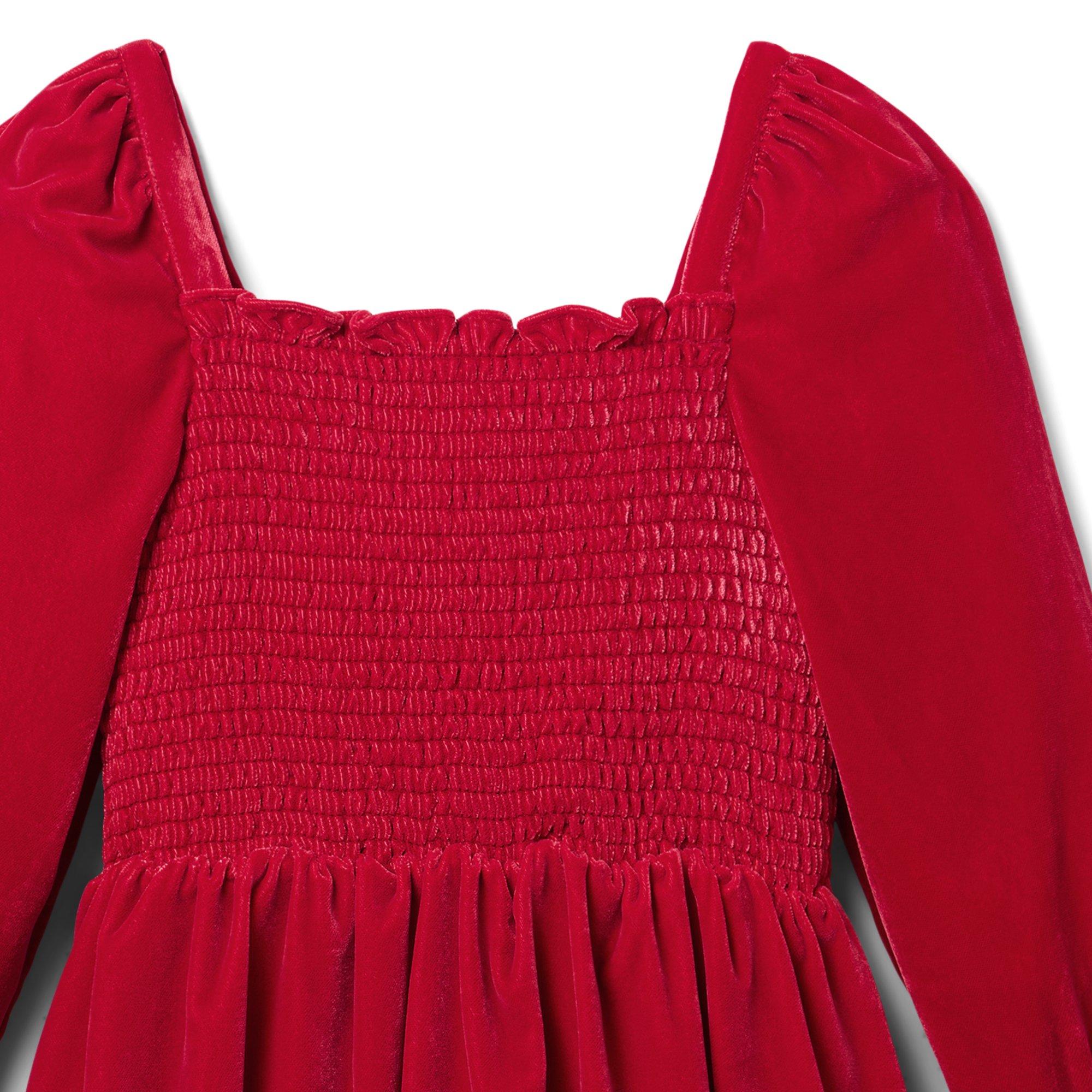 The Velvet Smocked Dress image number 2