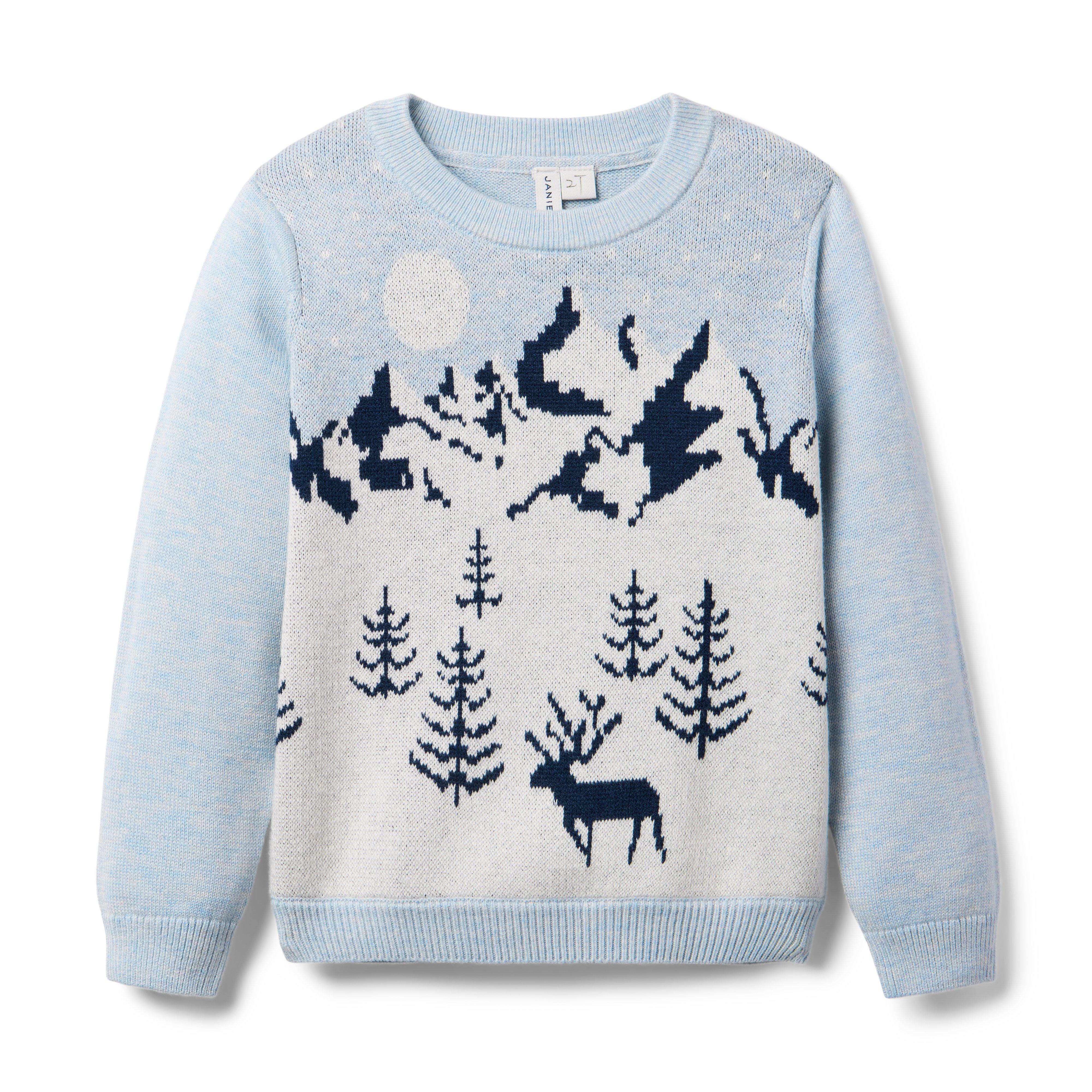 Snow Scenic Sweater