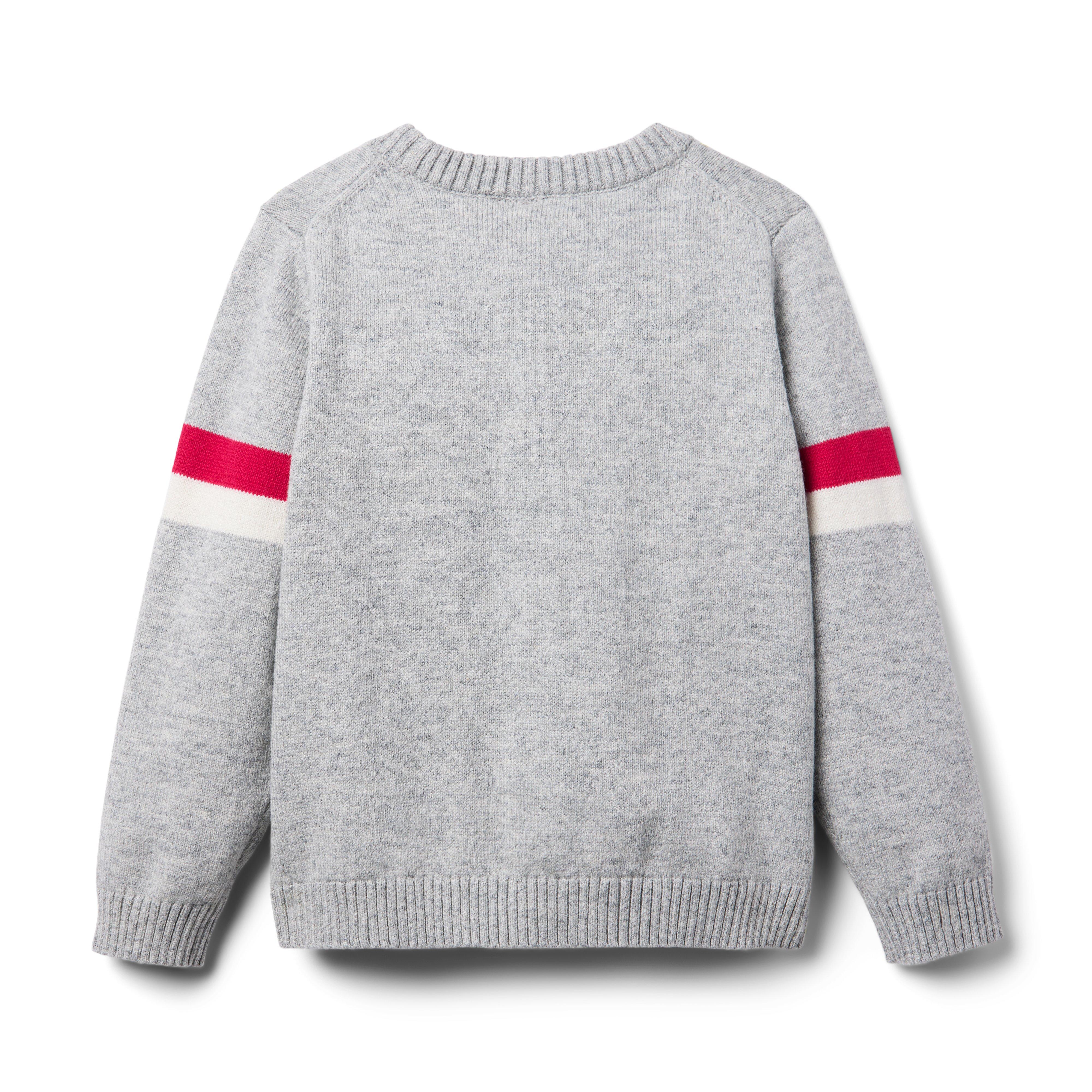 Dinosaur Heart Sweater image number 1