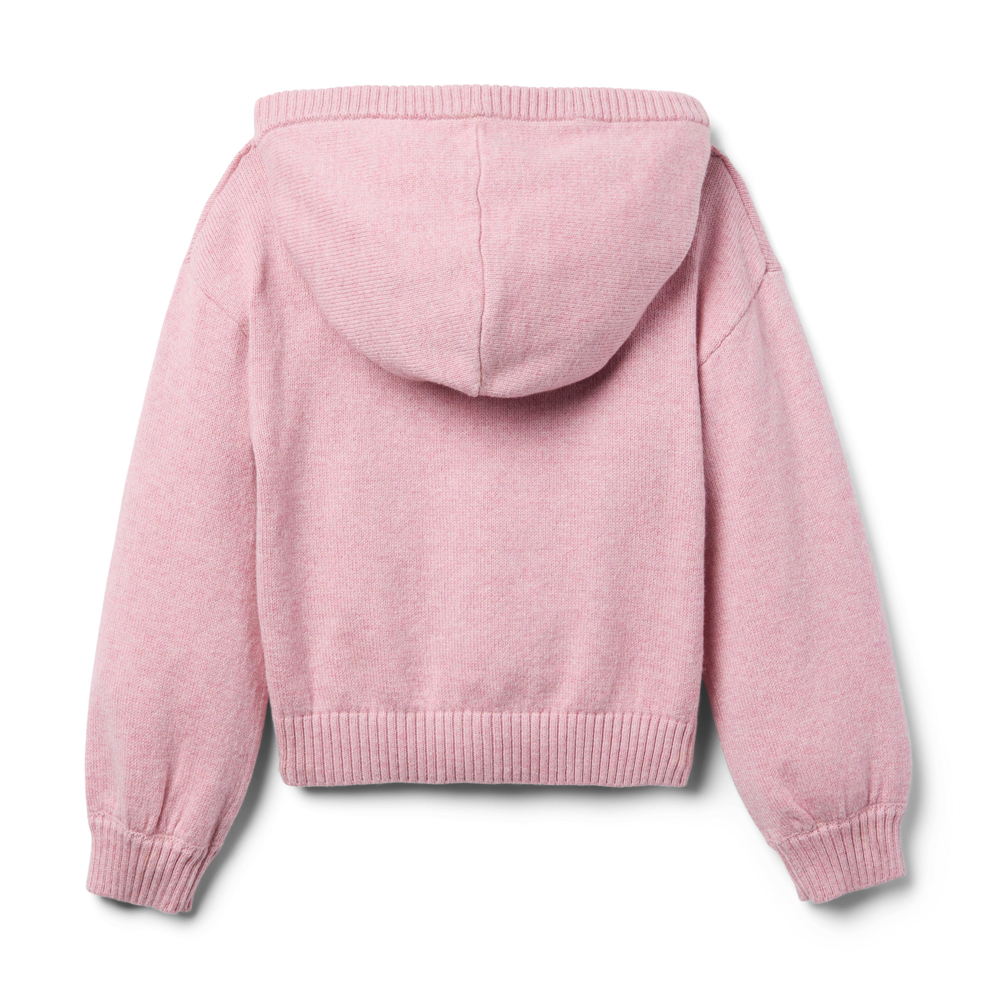 The Marled Hooded Sweater image number 1