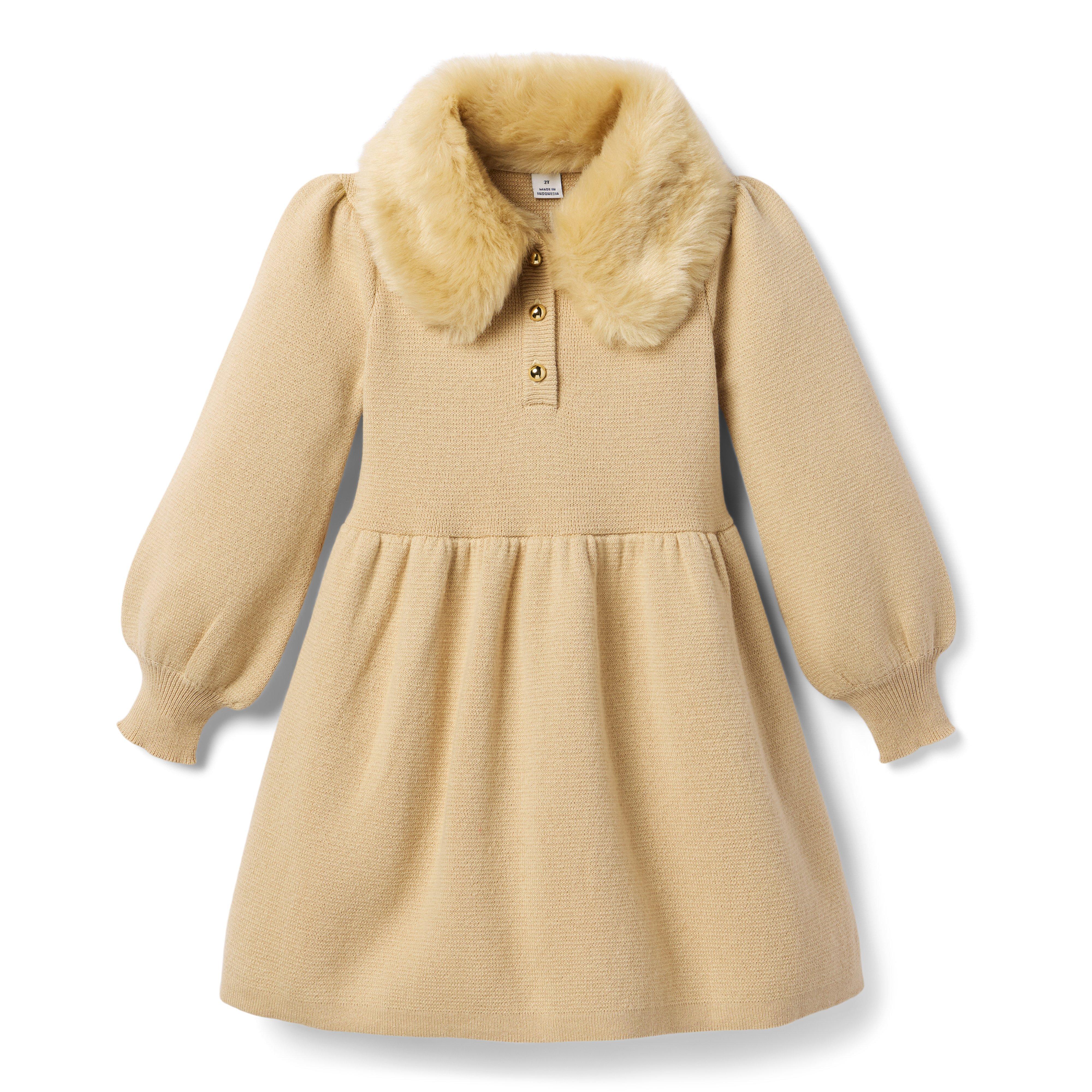 The Cozy Collared Dress image number 0