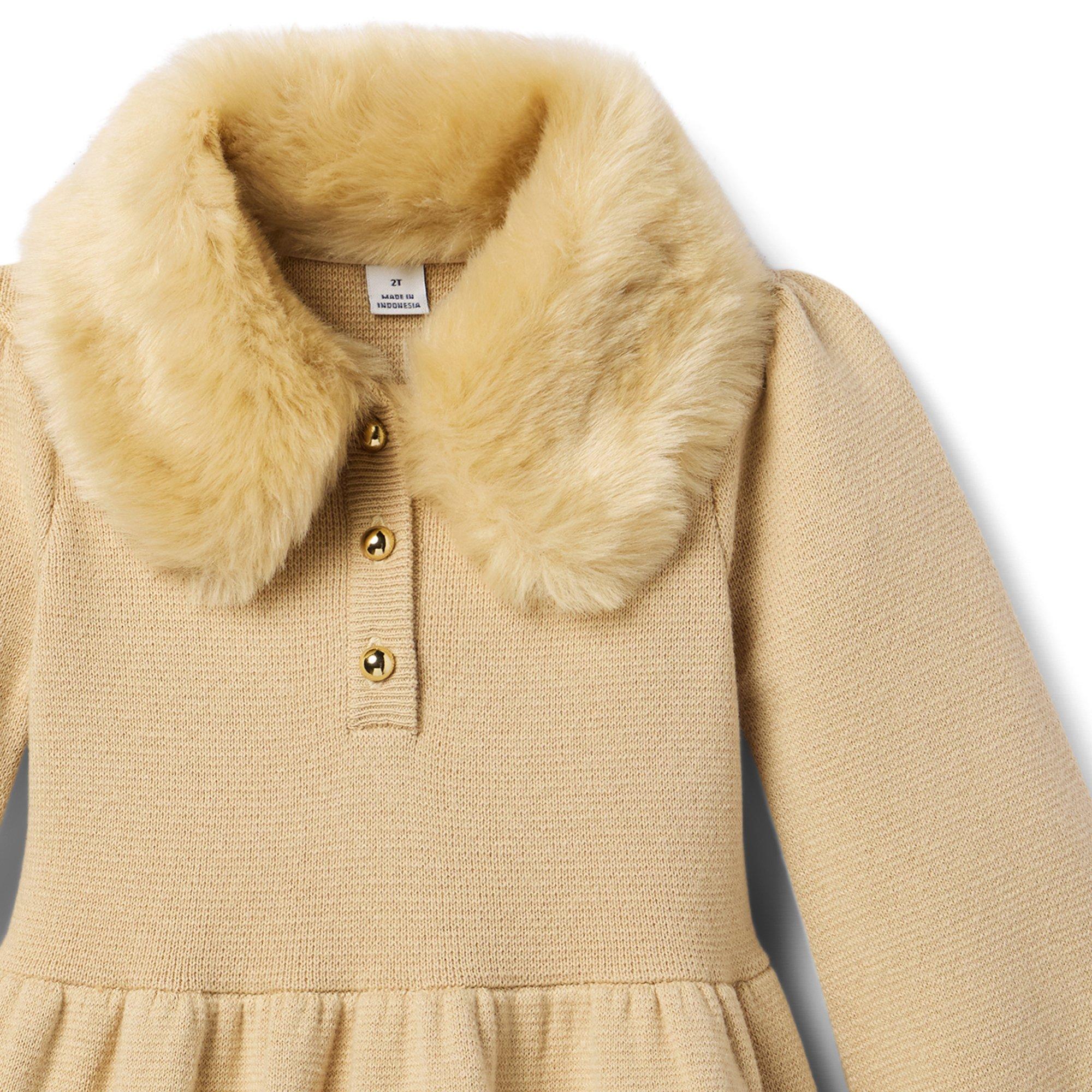 The Cozy Collared Dress image number 2