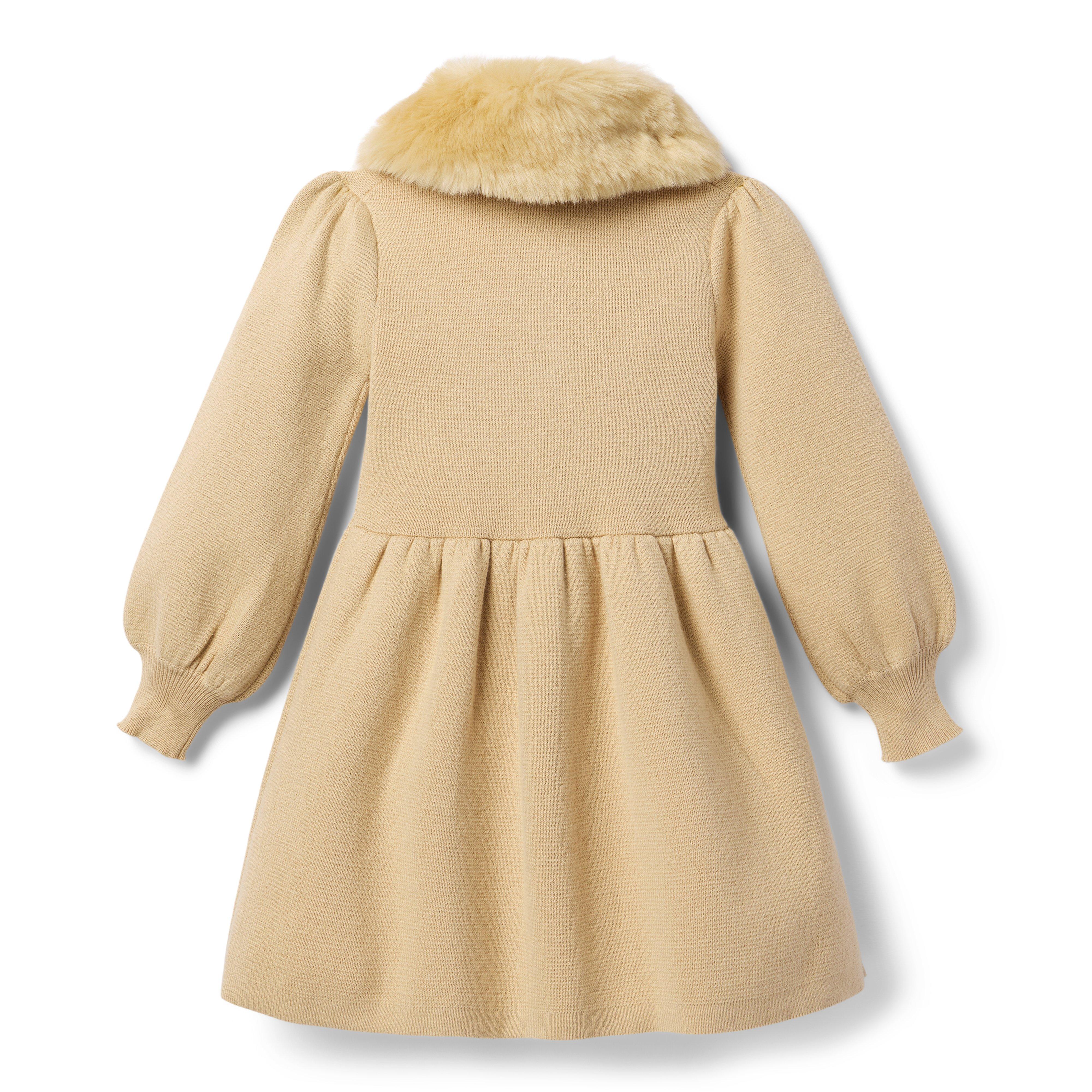 The Cozy Collared Dress image number 1