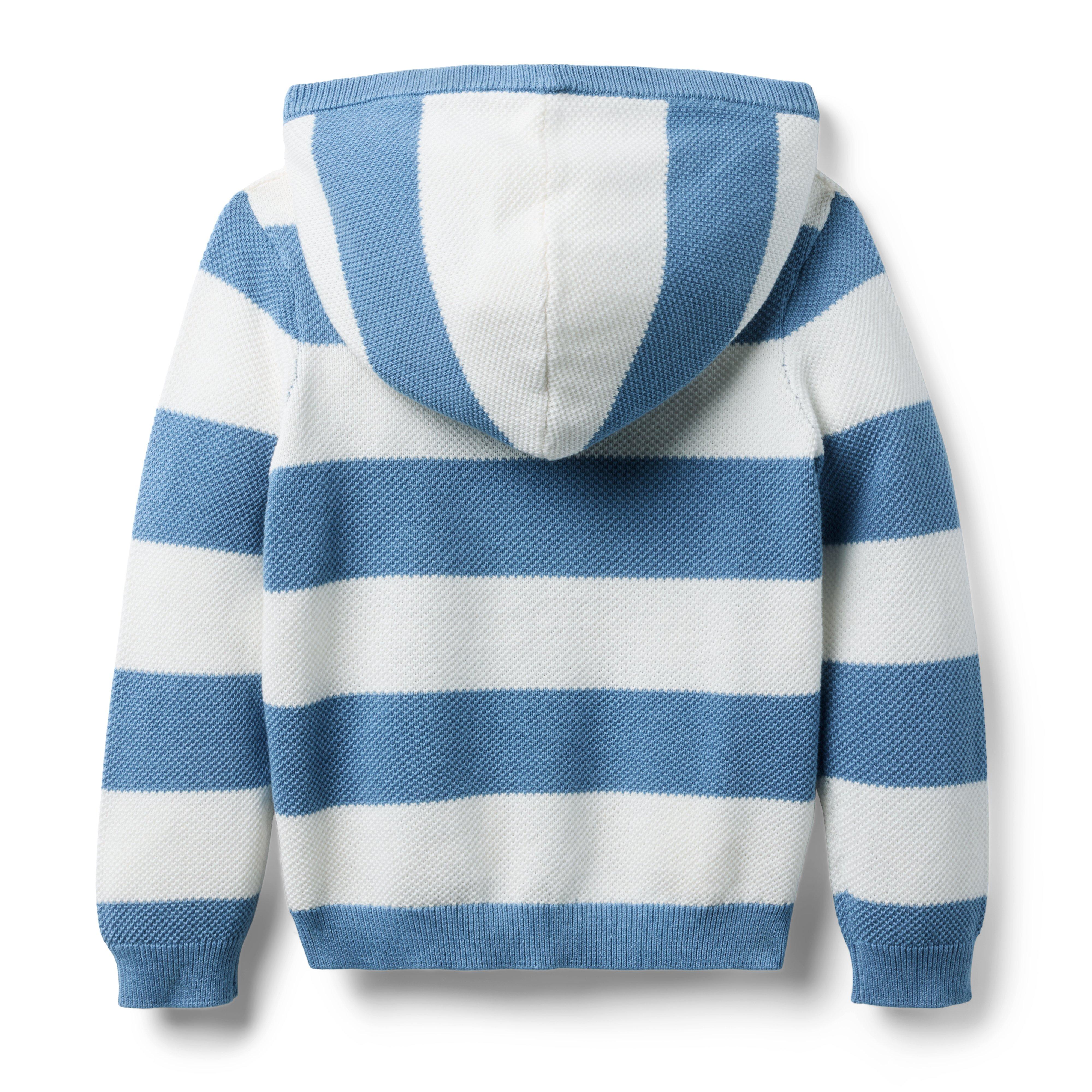 Textured Striped Hooded Sweater image number 1