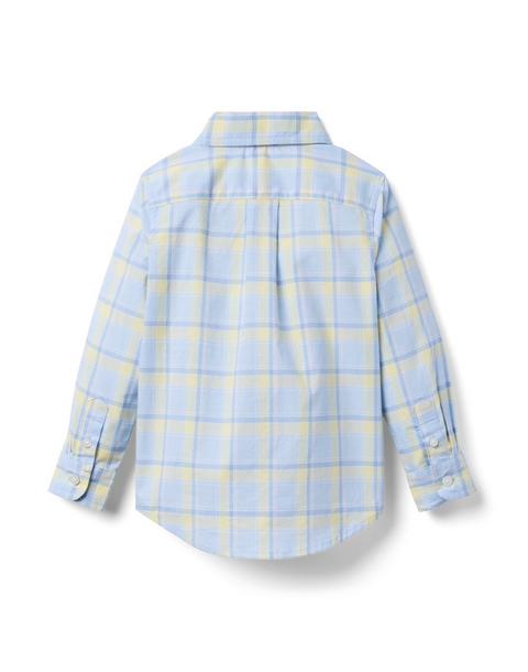 The Plaid Shirt