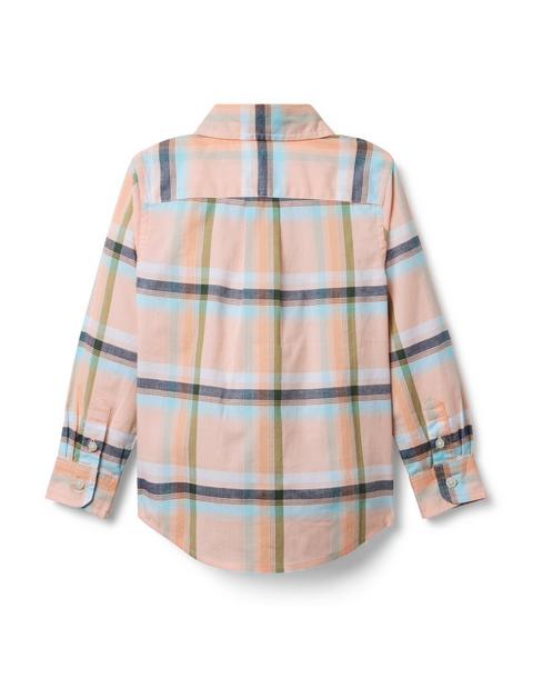 The Plaid Shirt