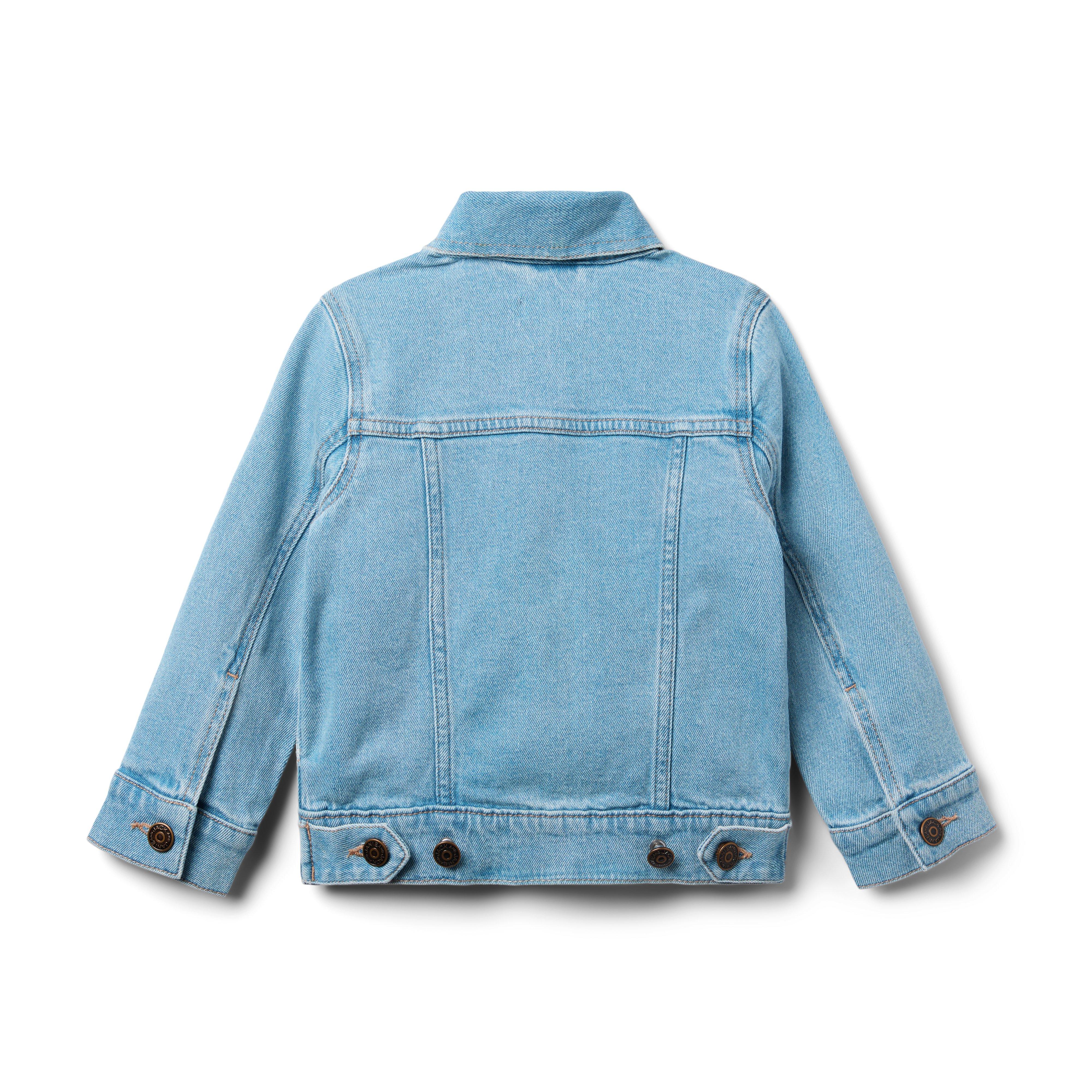 Denim Trucker Jacket image number 1
