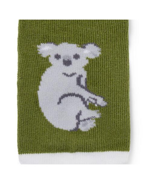 Baby Koala And Stripe Sock 2-Pack