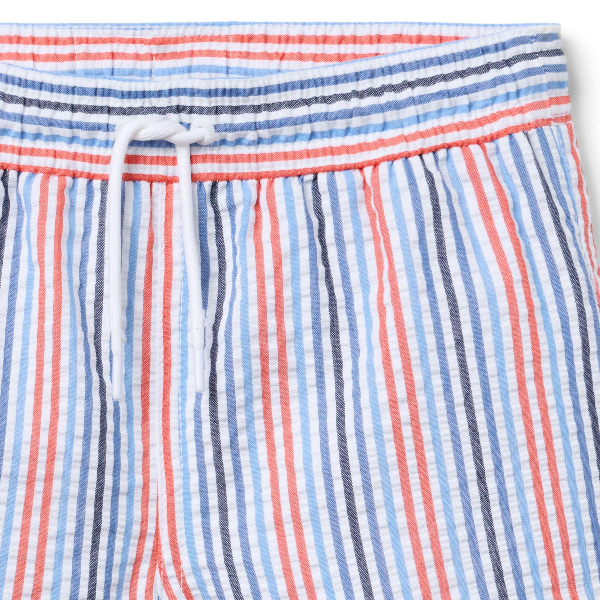 Recycled Striped Swim Trunk image number 2