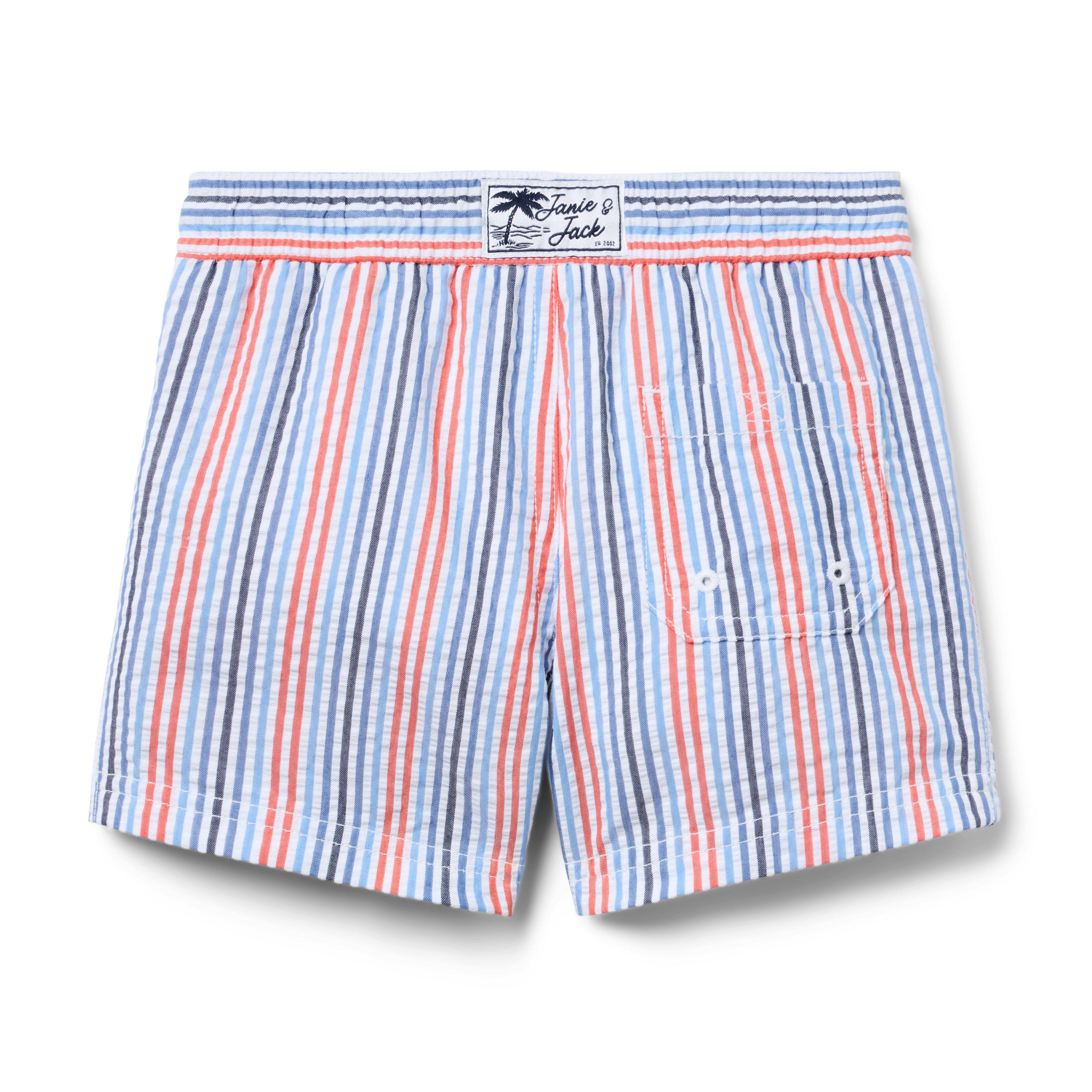 Recycled Striped Swim Trunk image number 1
