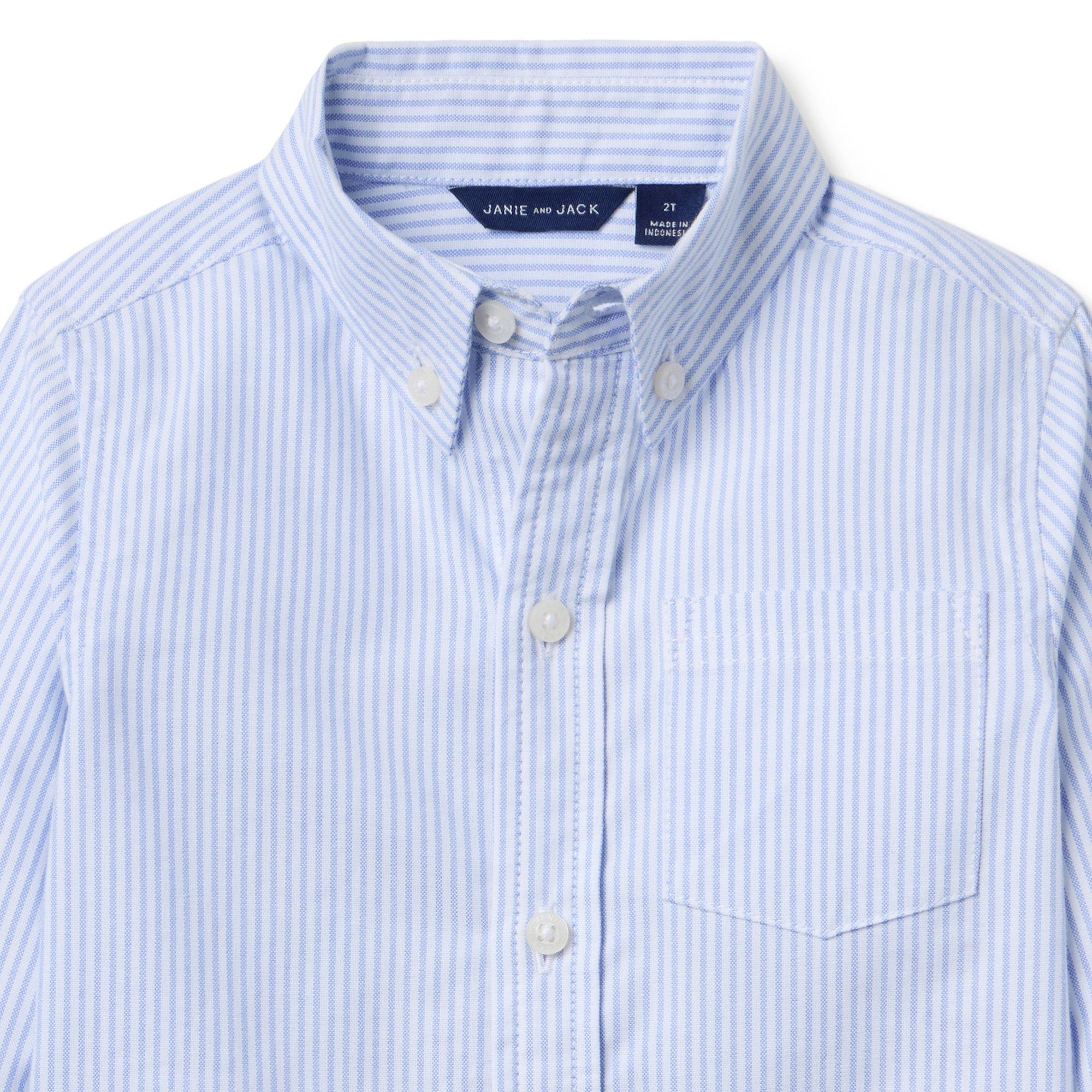 The Striped Oxford Shirt image number 1