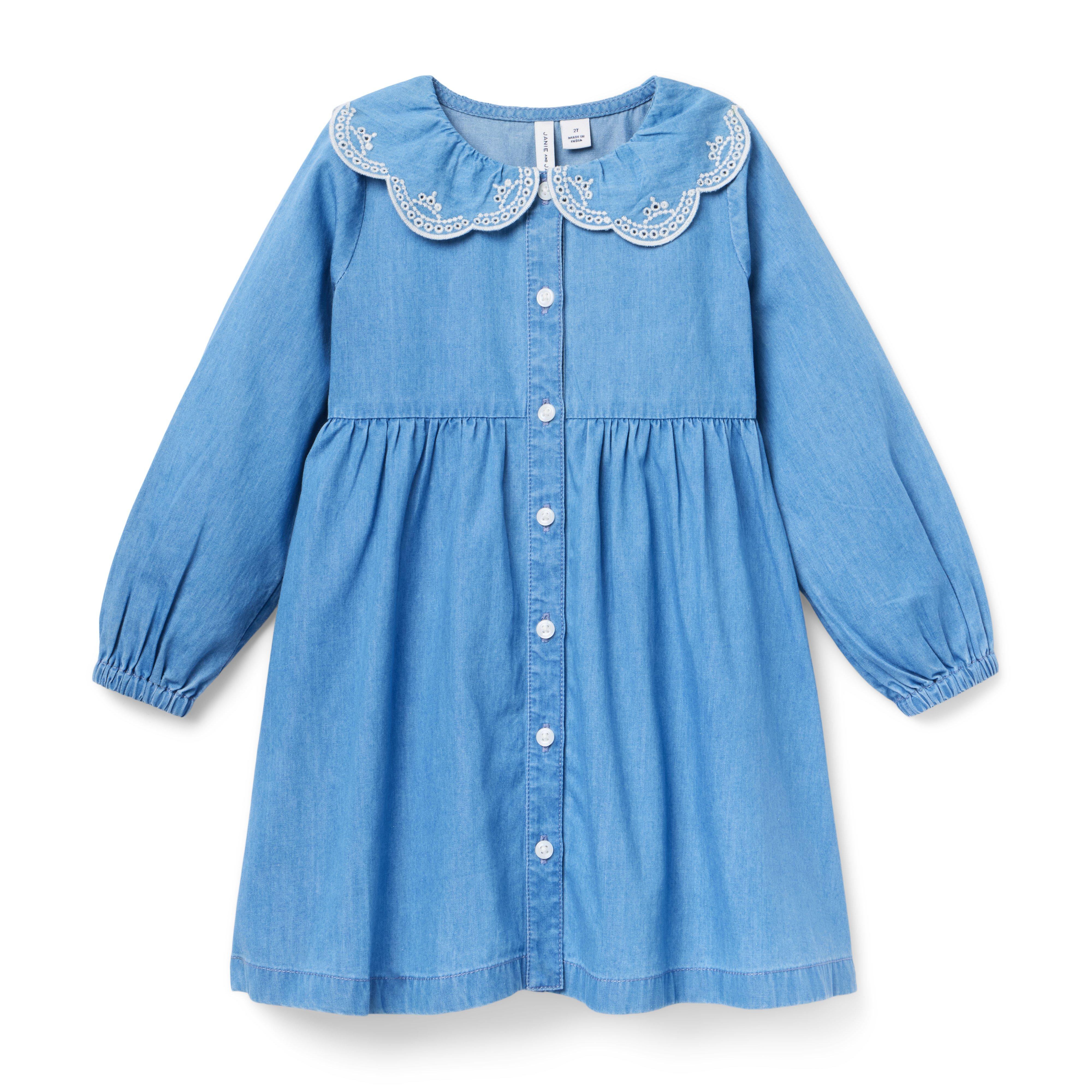 Chambray Embroidered Collar Dress