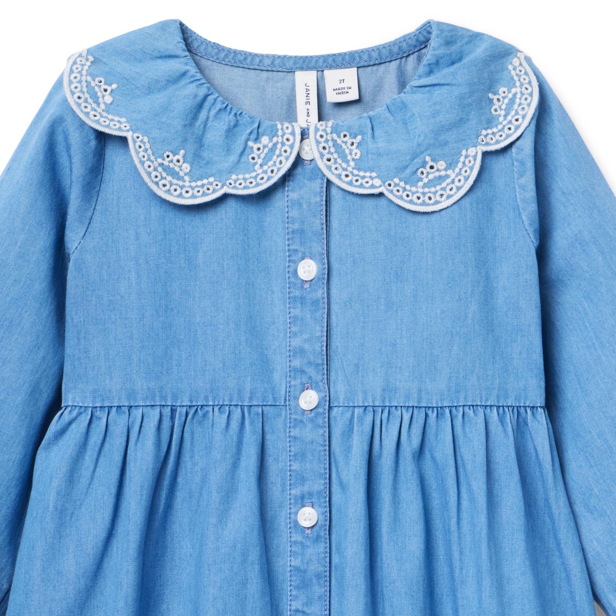Chambray Embroidered Collar Dress image number 1