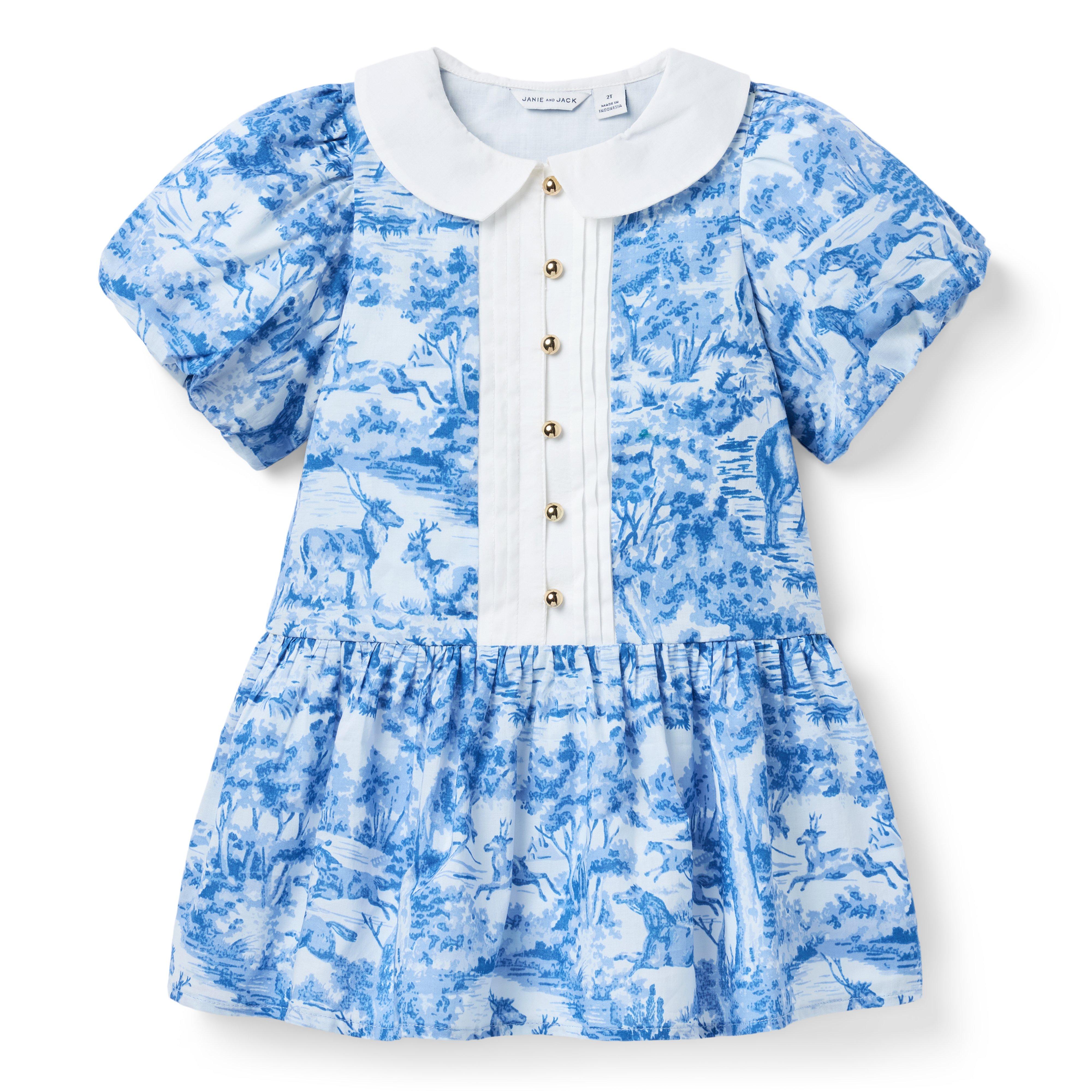 The Art of Toile Dress 